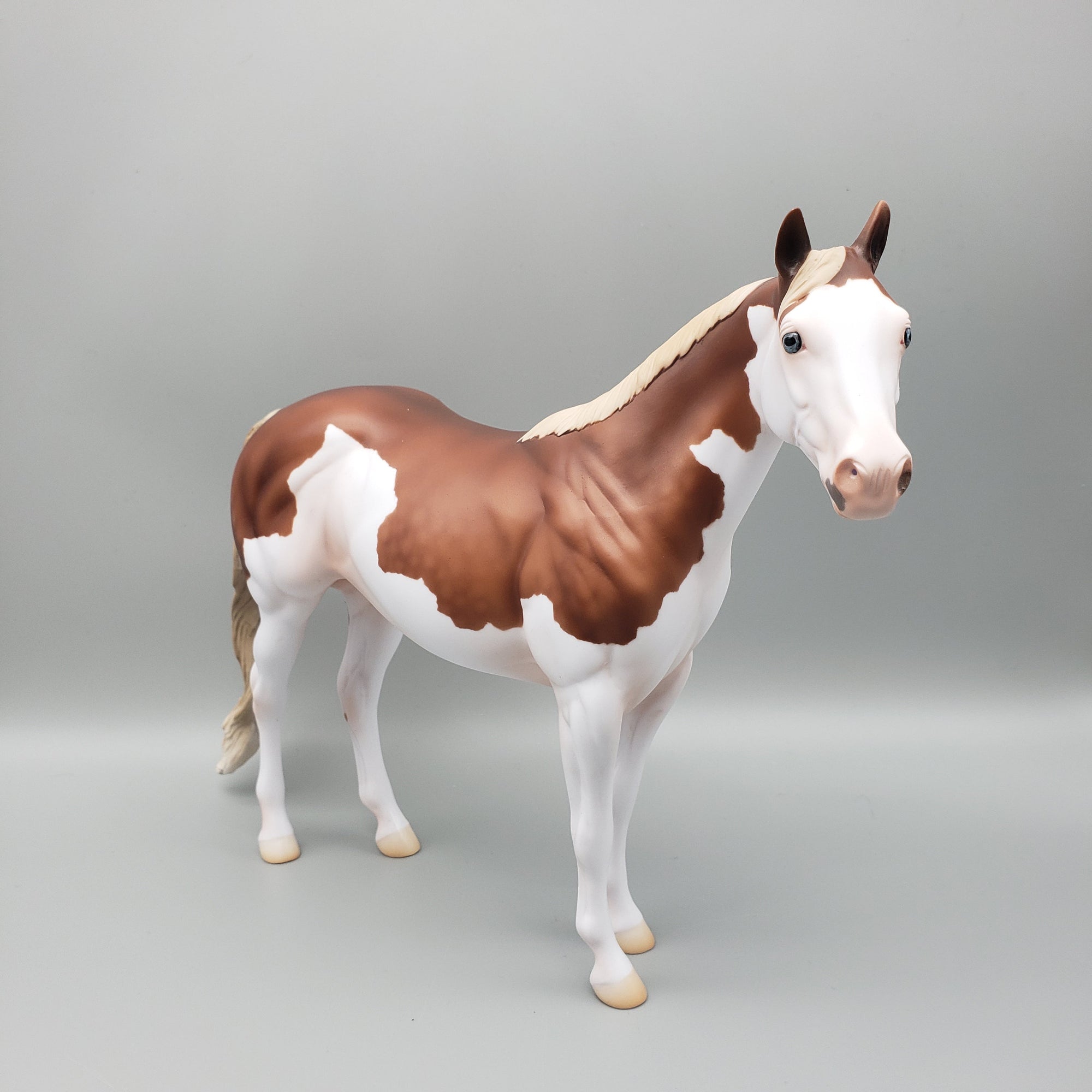 Bandit - OOAK - Flaxen Chestnut Splash ISH By Jess Hamill EQ23