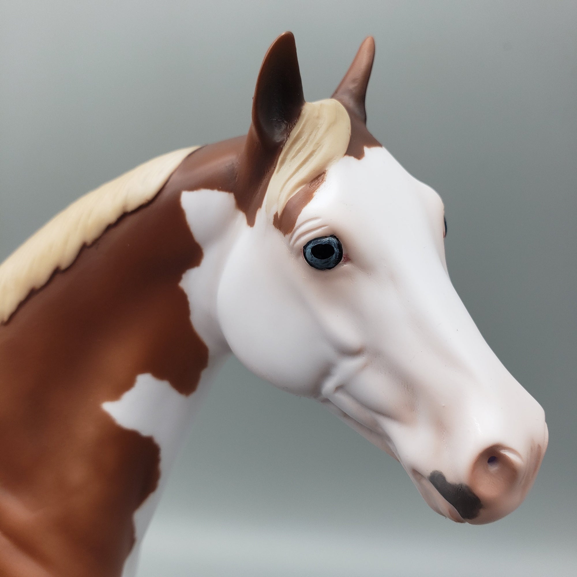 Bandit - OOAK - Flaxen Chestnut Splash ISH By Jess Hamill EQ23