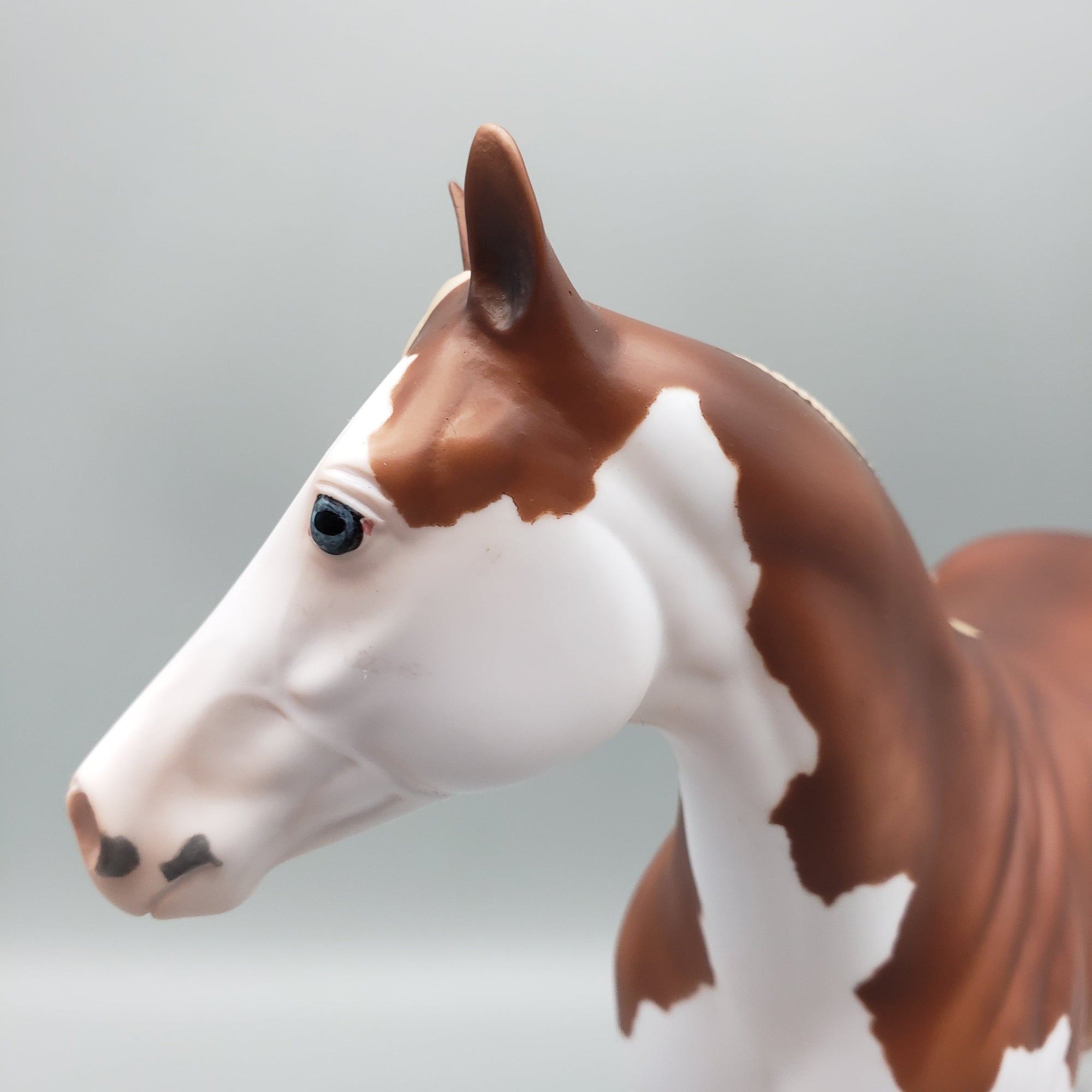 Bandit - OOAK - Flaxen Chestnut Splash ISH By Jess Hamill EQ23