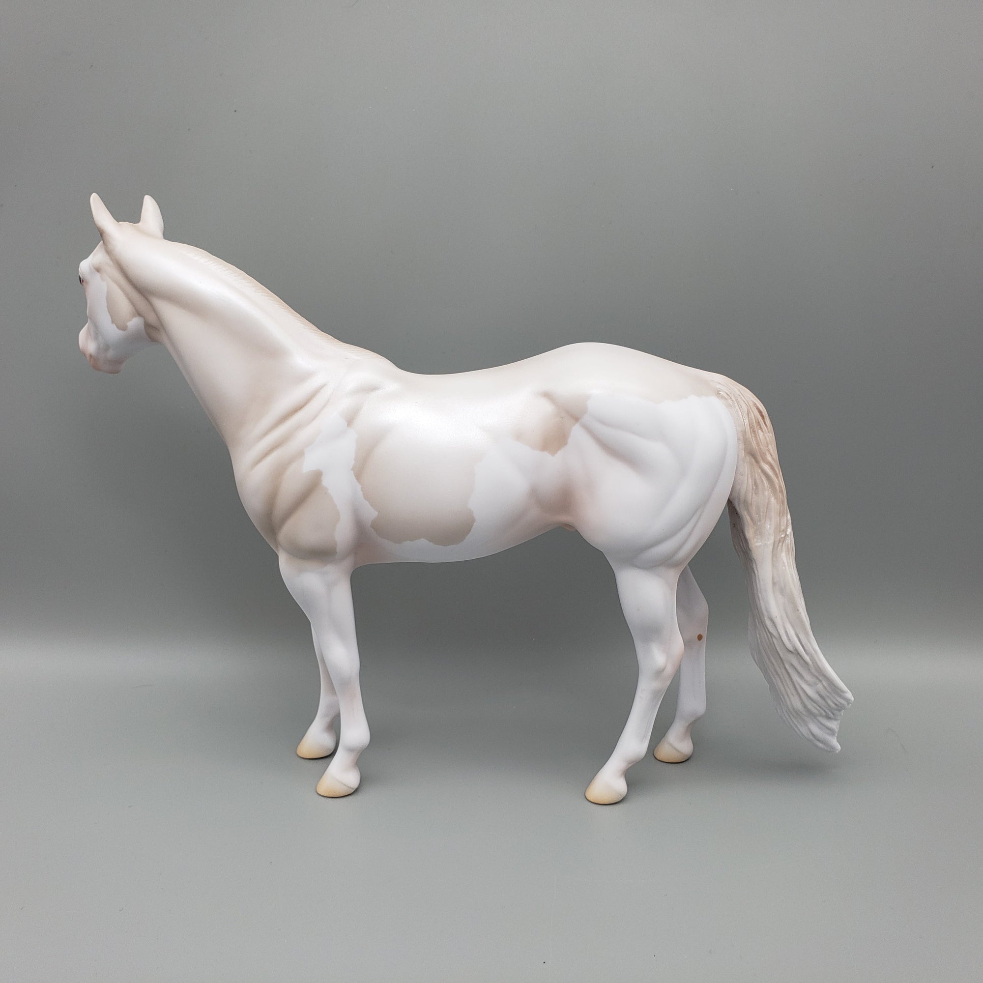 Bailey - OOAK - Cremello Splash ISH By Jess Hamill EQ23