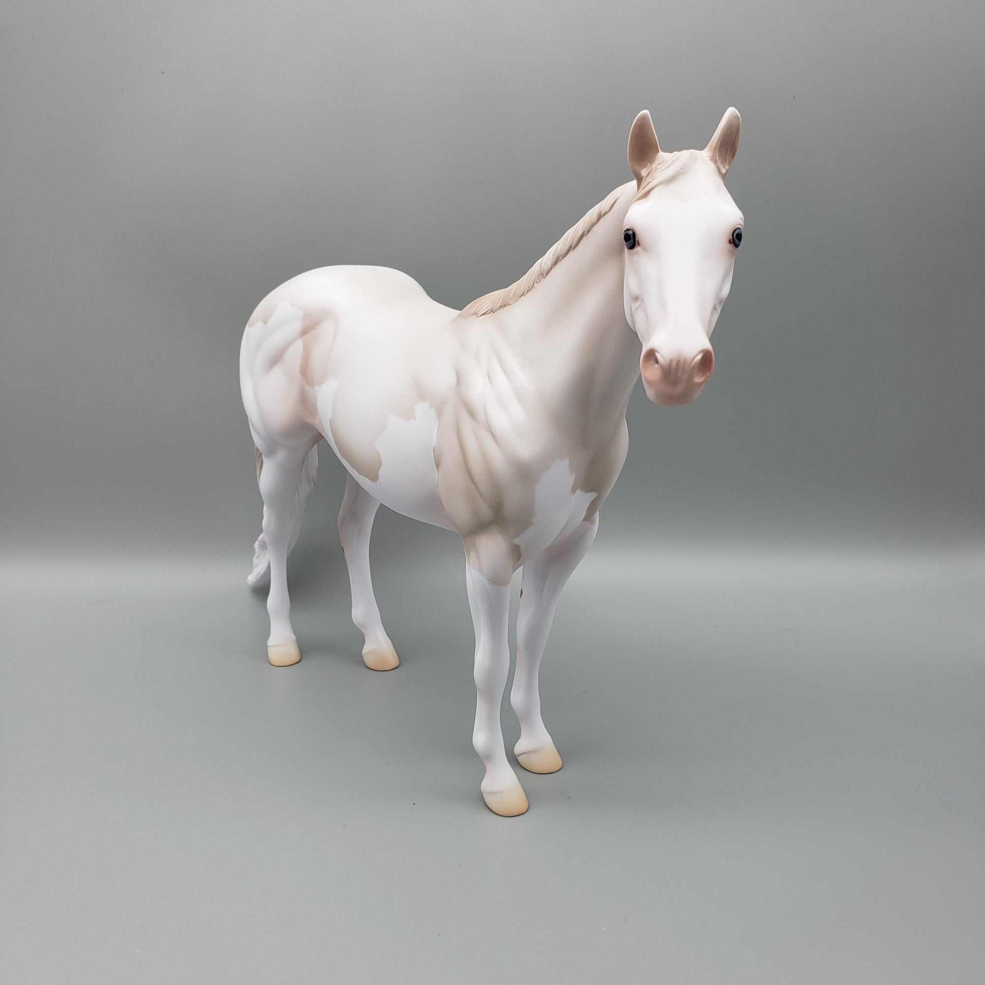 Bailey - OOAK - Cremello Splash ISH By Jess Hamill EQ23