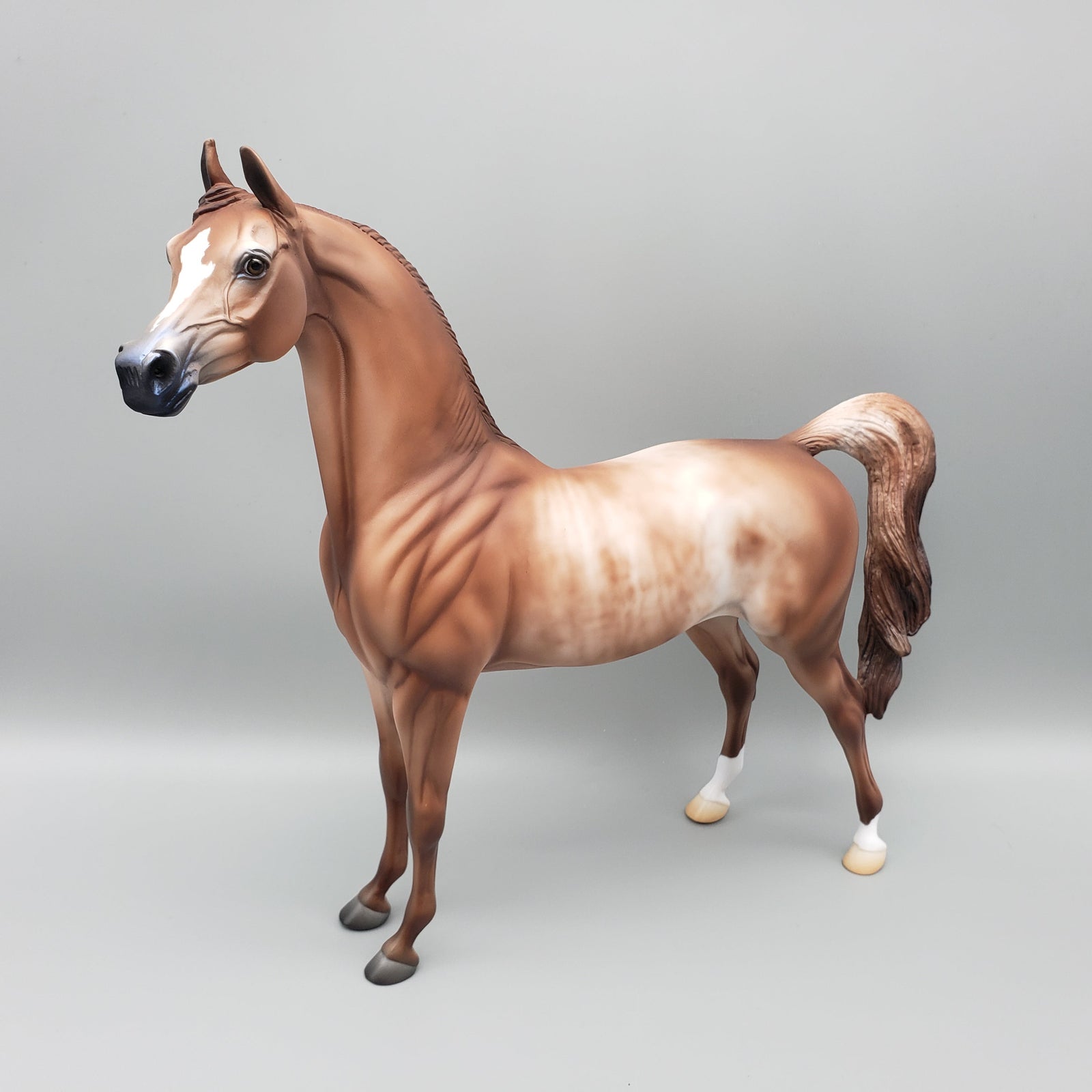 Buck - OOAK - Chestnut Rabicano Arabian By Jess Hamill EQ23