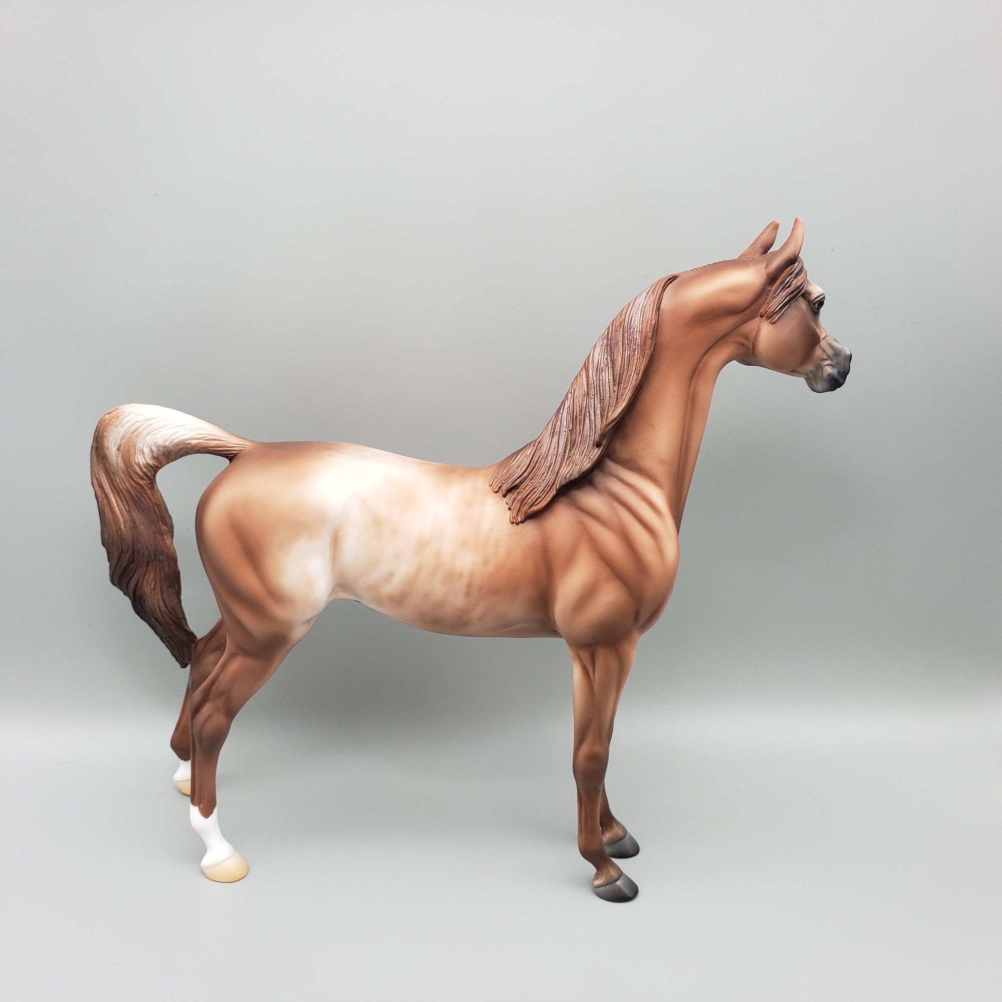 Buck - OOAK - Chestnut Rabicano Arabian By Jess Hamill EQ23