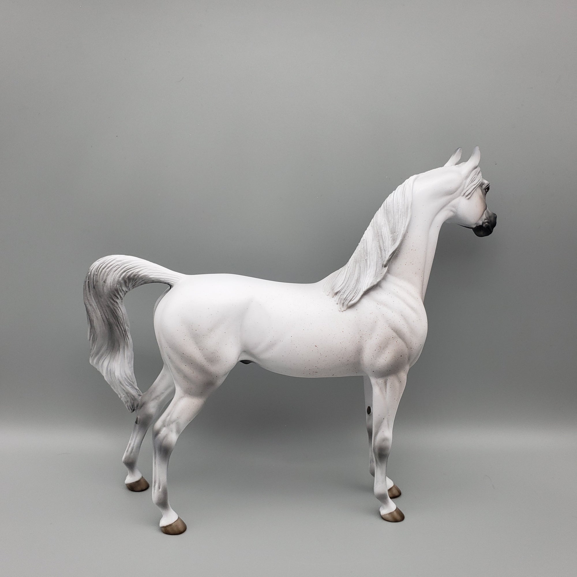 Bobby - OOAK - Fleabitten Grey Arabian By Jess Hamill EQ23