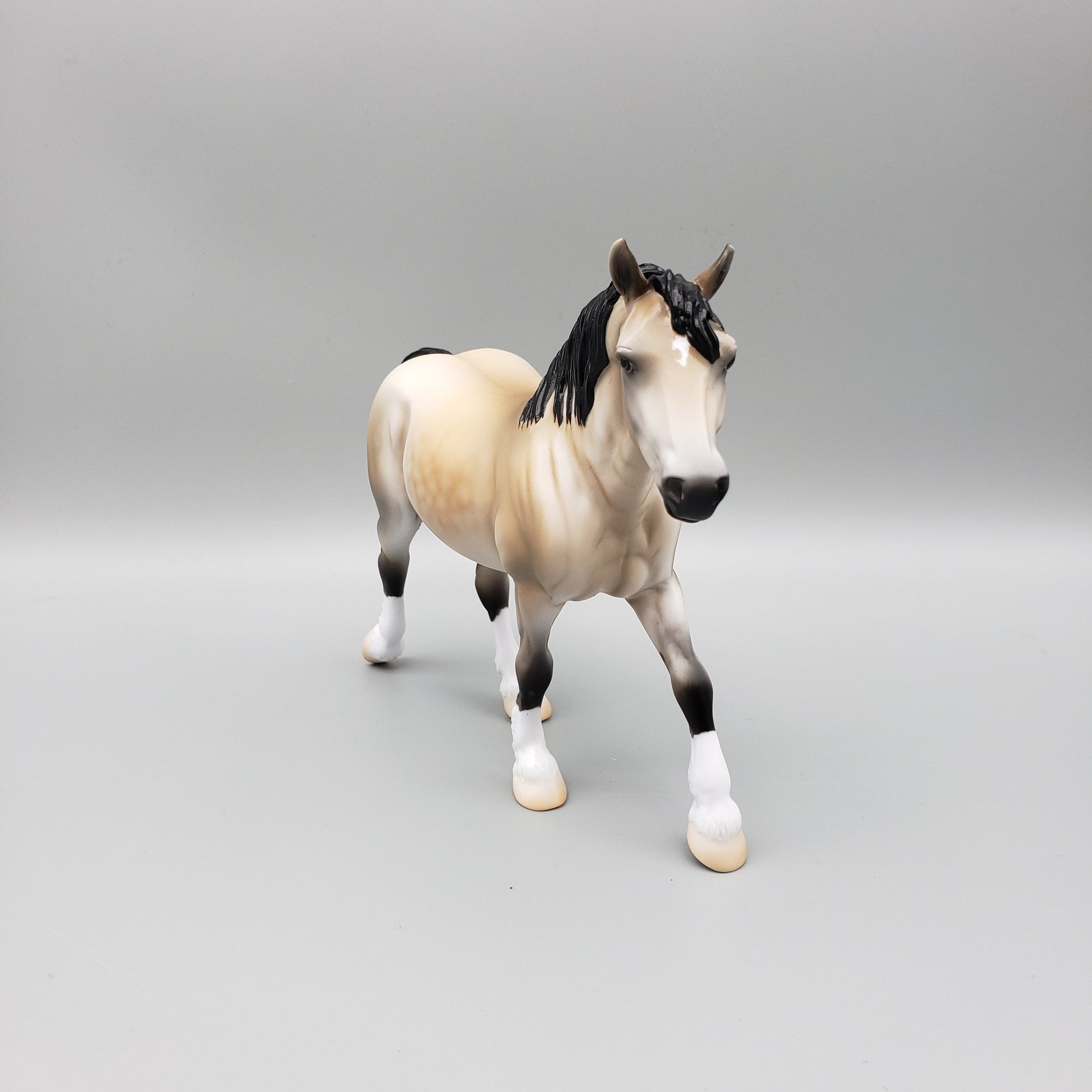 Lor - OOAK - Dappled Buckskin Pebble Draft By Jess Hamill EQ23