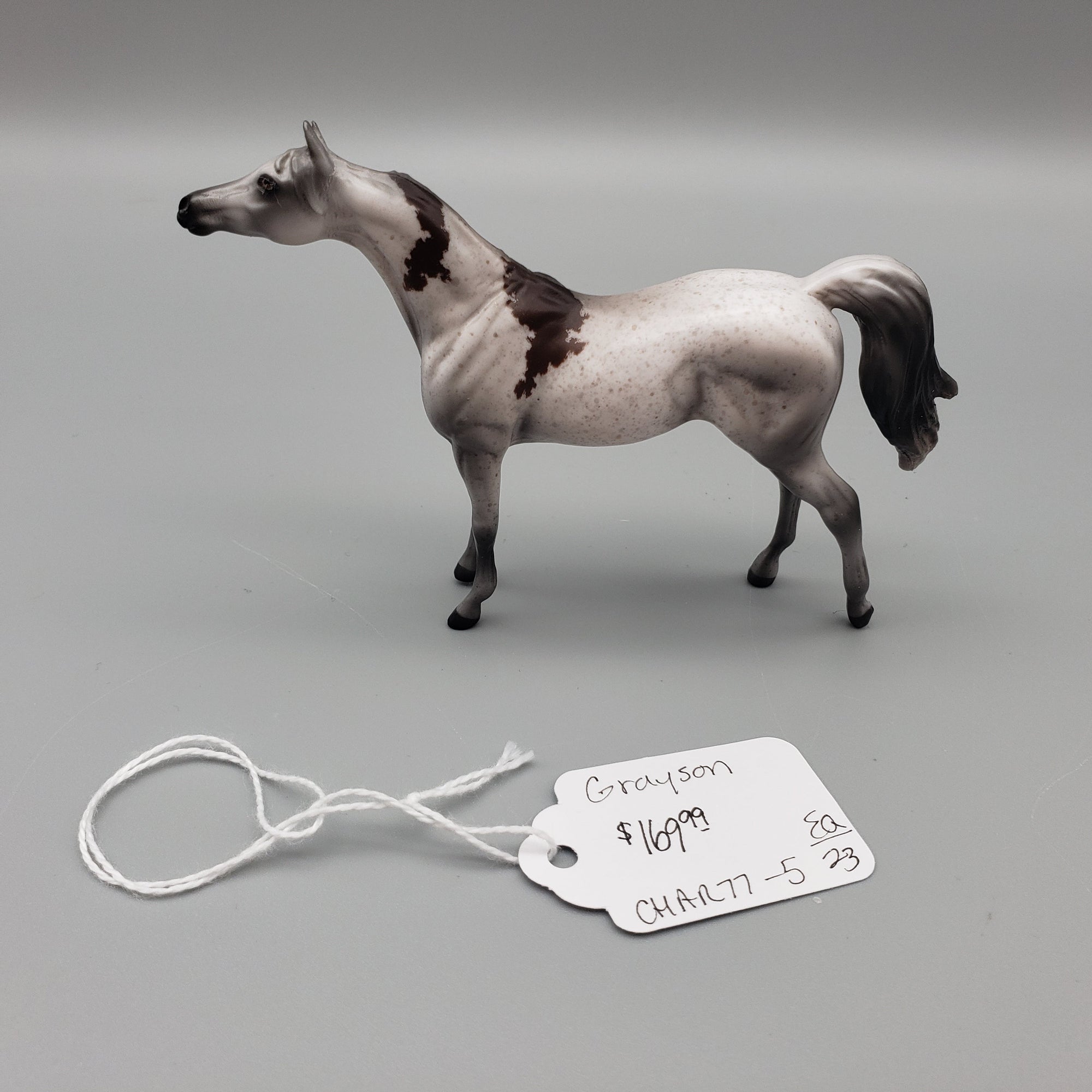 Grayson  OOAK Bloody Shoulder Arabian Chip By Jess Hamill EQ23