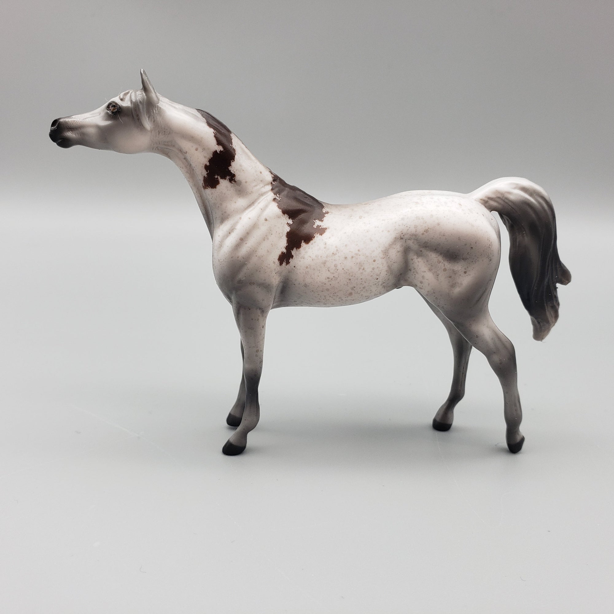 Grayson  OOAK Bloody Shoulder Arabian Chip By Jess Hamill EQ23