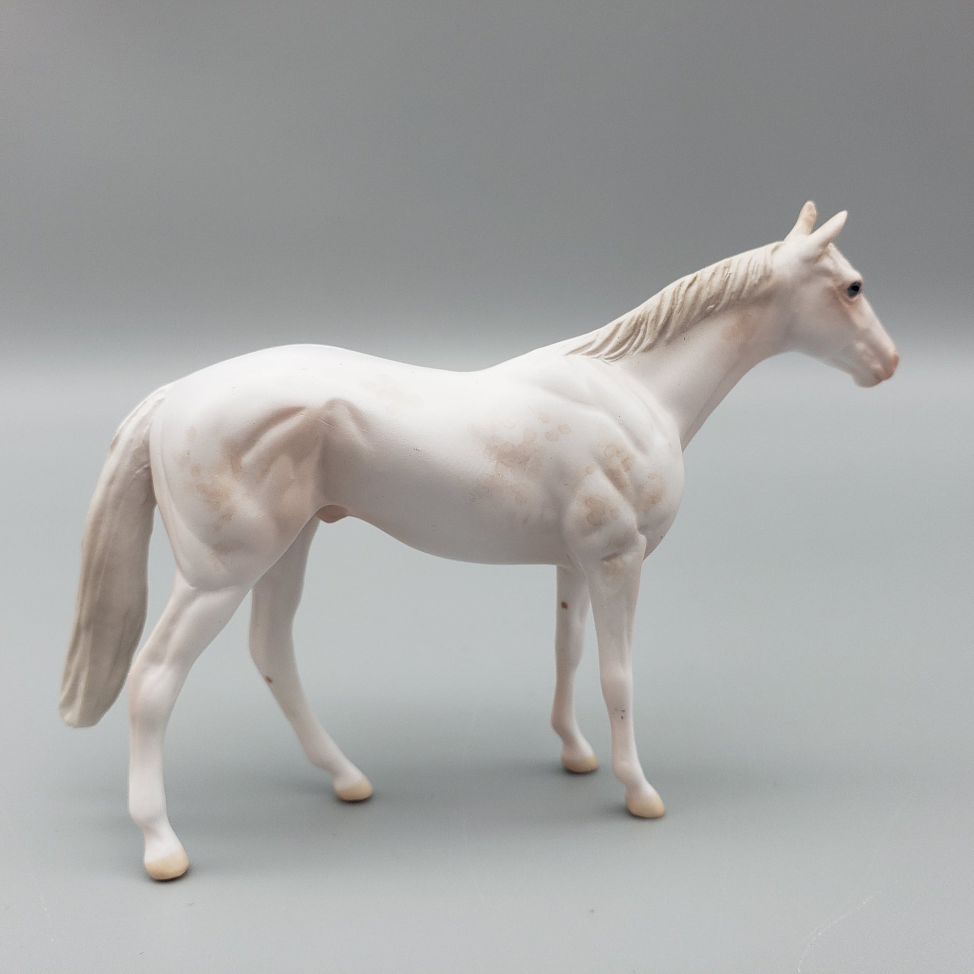 Chopin Duet OOAK White Sabino Thoroughbred Chip By Jess Hamill EQ23