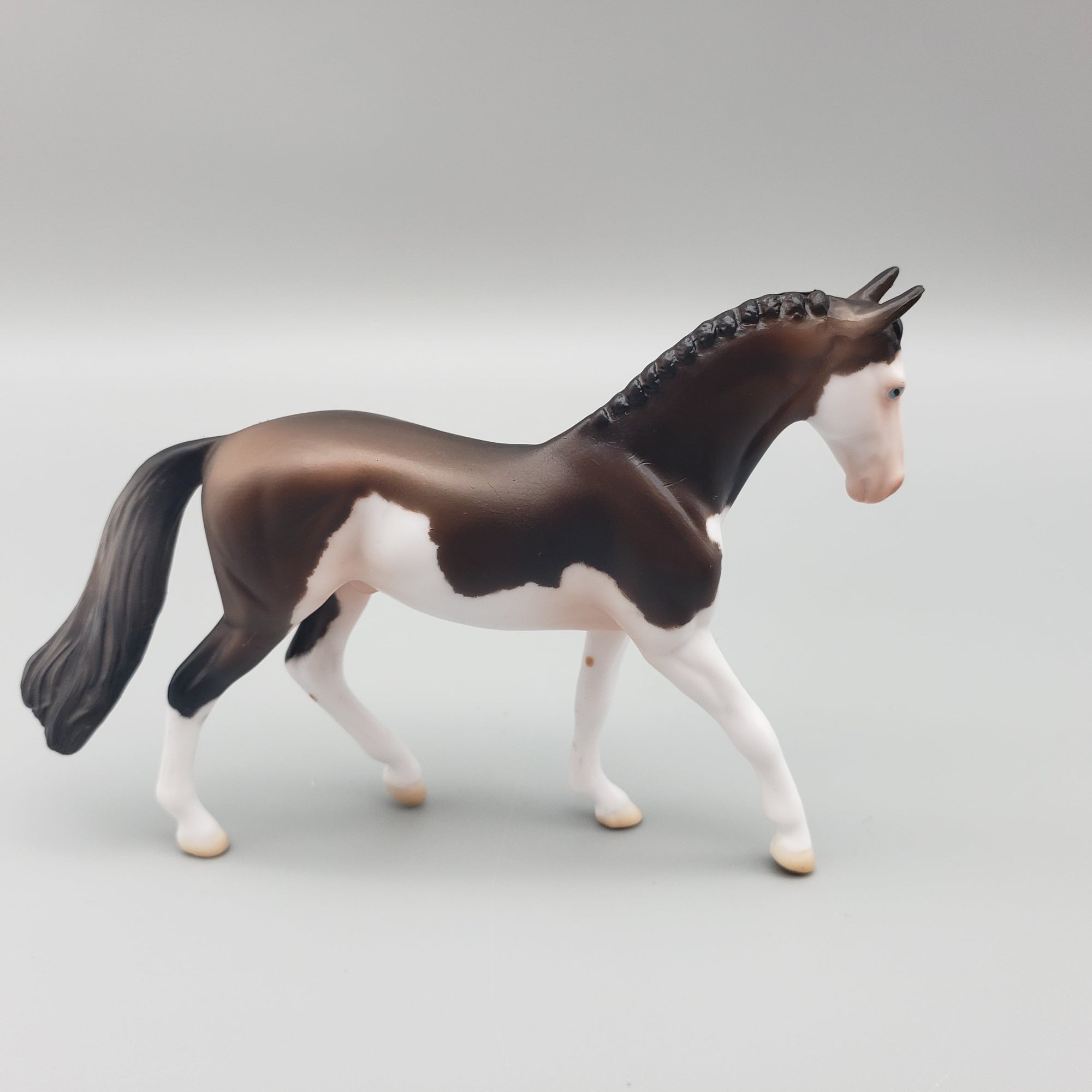 Rembrand OOAK Bay Splash Warmblood Chip By Jess Hamill EQ23