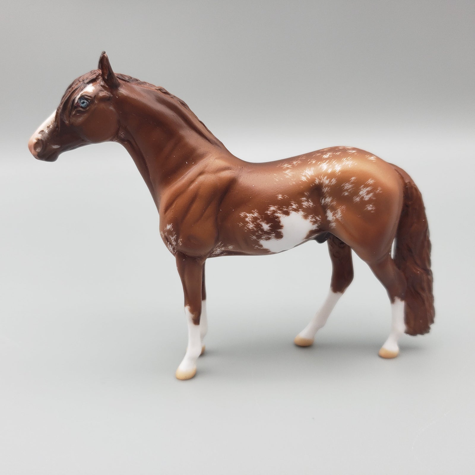Opie OOAK Chestnut Sabino Andalusian Chip By Jess Hamill EQ23