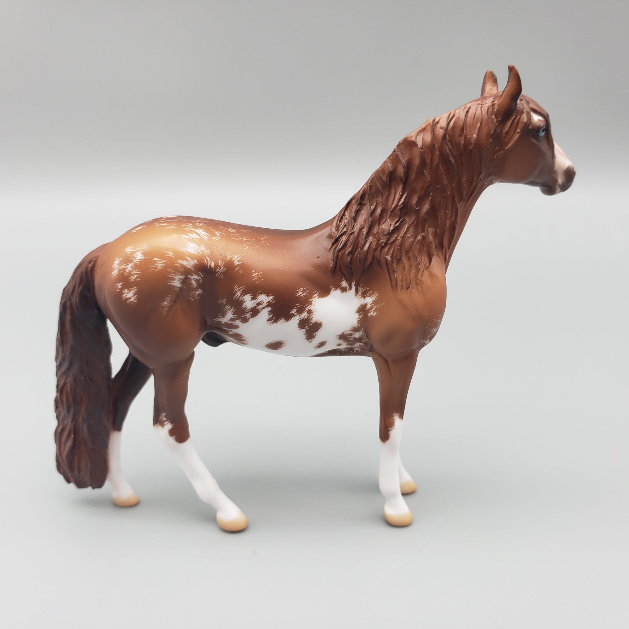 Opie OOAK Chestnut Sabino Andalusian Chip By Jess Hamill EQ23
