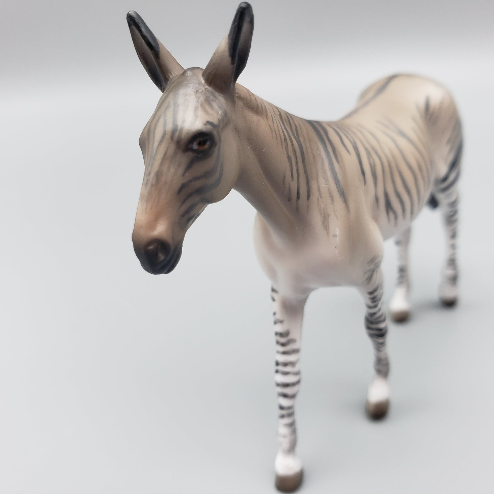 Queenie OOAK Zedonk Mule Chip By Jess Hamill EQ23