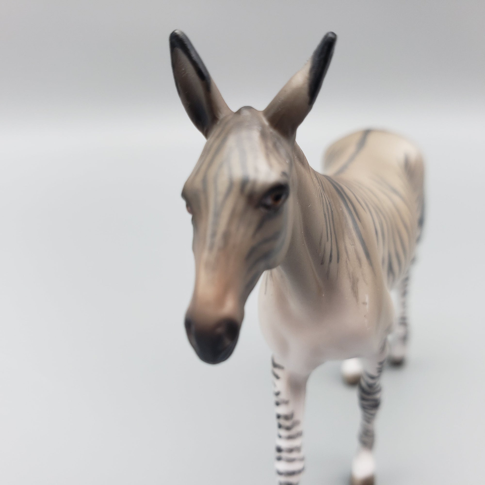 Queenie OOAK Zedonk Mule Chip By Jess Hamill EQ23