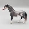 Napoleon OOAK Blue Roan Sabino Andalusian Chip By Jess Hamill EQ23