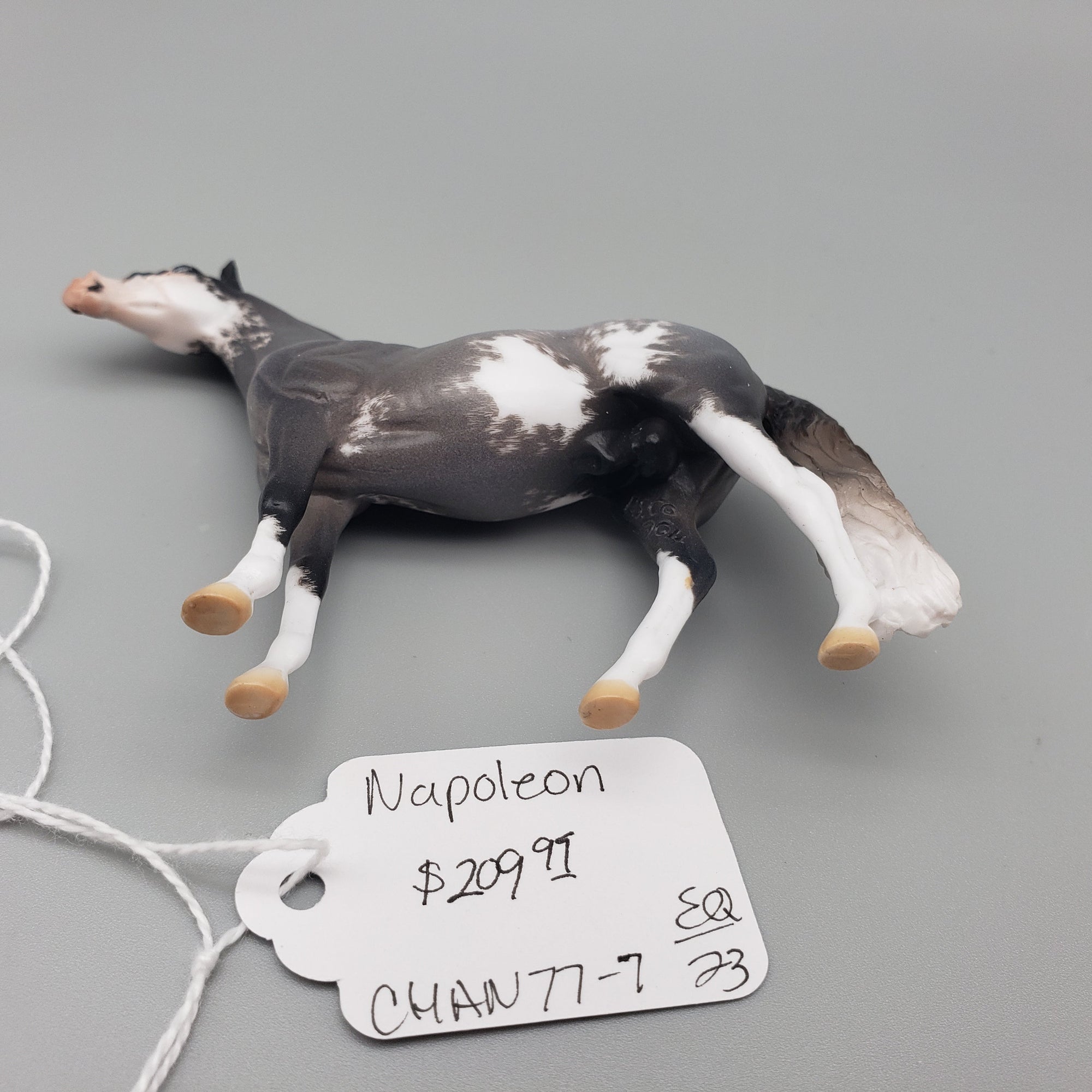 Napoleon OOAK Blue Roan Sabino Andalusian Chip By Jess Hamill EQ23