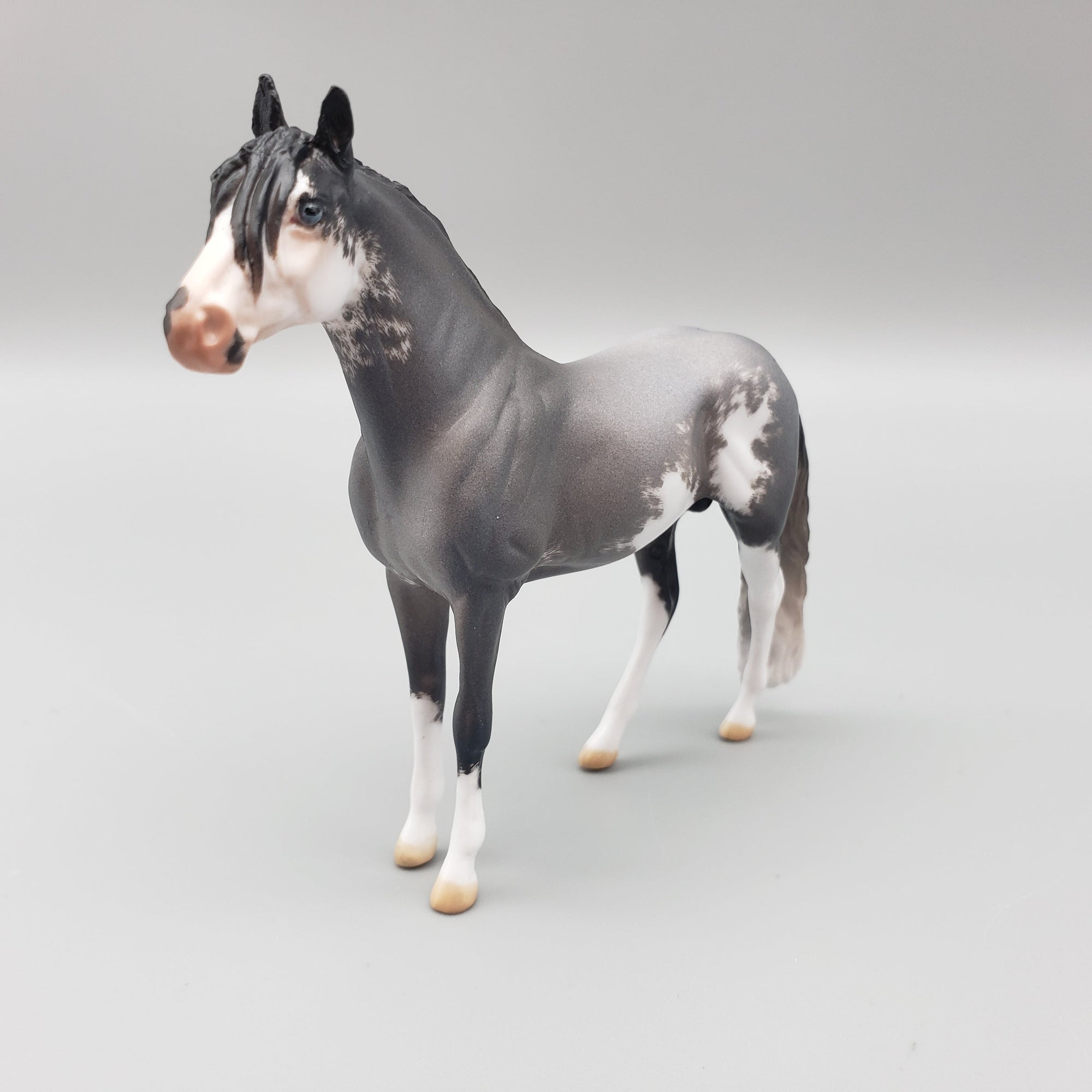 Napoleon OOAK Blue Roan Sabino Andalusian Chip By Jess Hamill EQ23