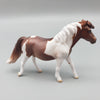 Cookie OOAK Pintaloosa Pony Chip By Jess Hamill EQ23