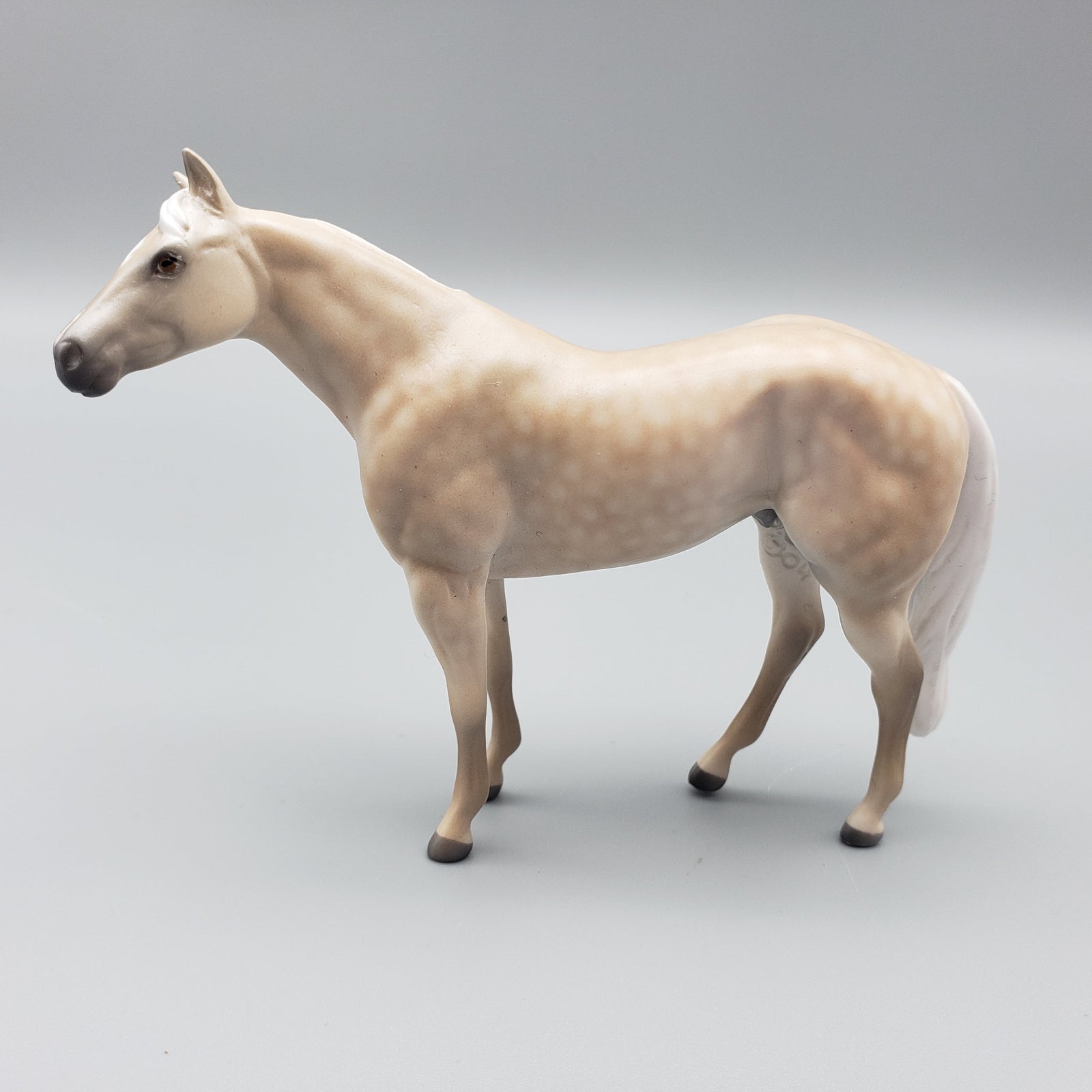 Trapper OOAK Dappled Palomino Stock Horse Chip By Jess Hamill EQ23