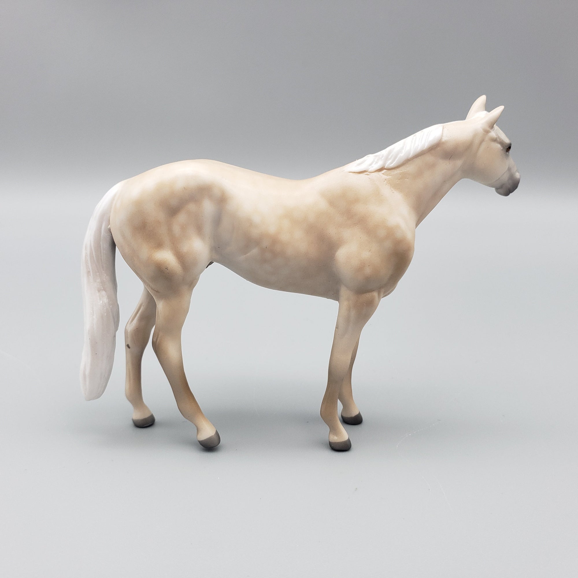 Trapper OOAK Dappled Palomino Stock Horse Chip By Jess Hamill EQ23
