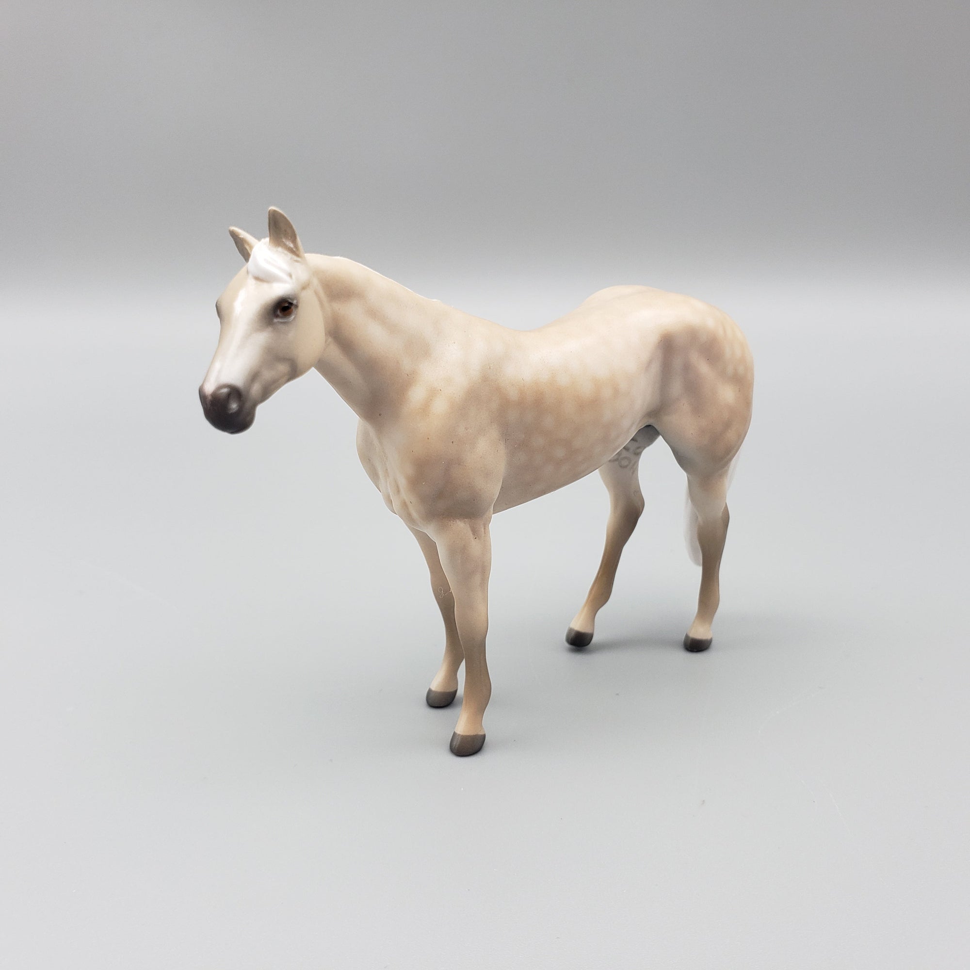 Trapper OOAK Dappled Palomino Stock Horse Chip By Jess Hamill EQ23