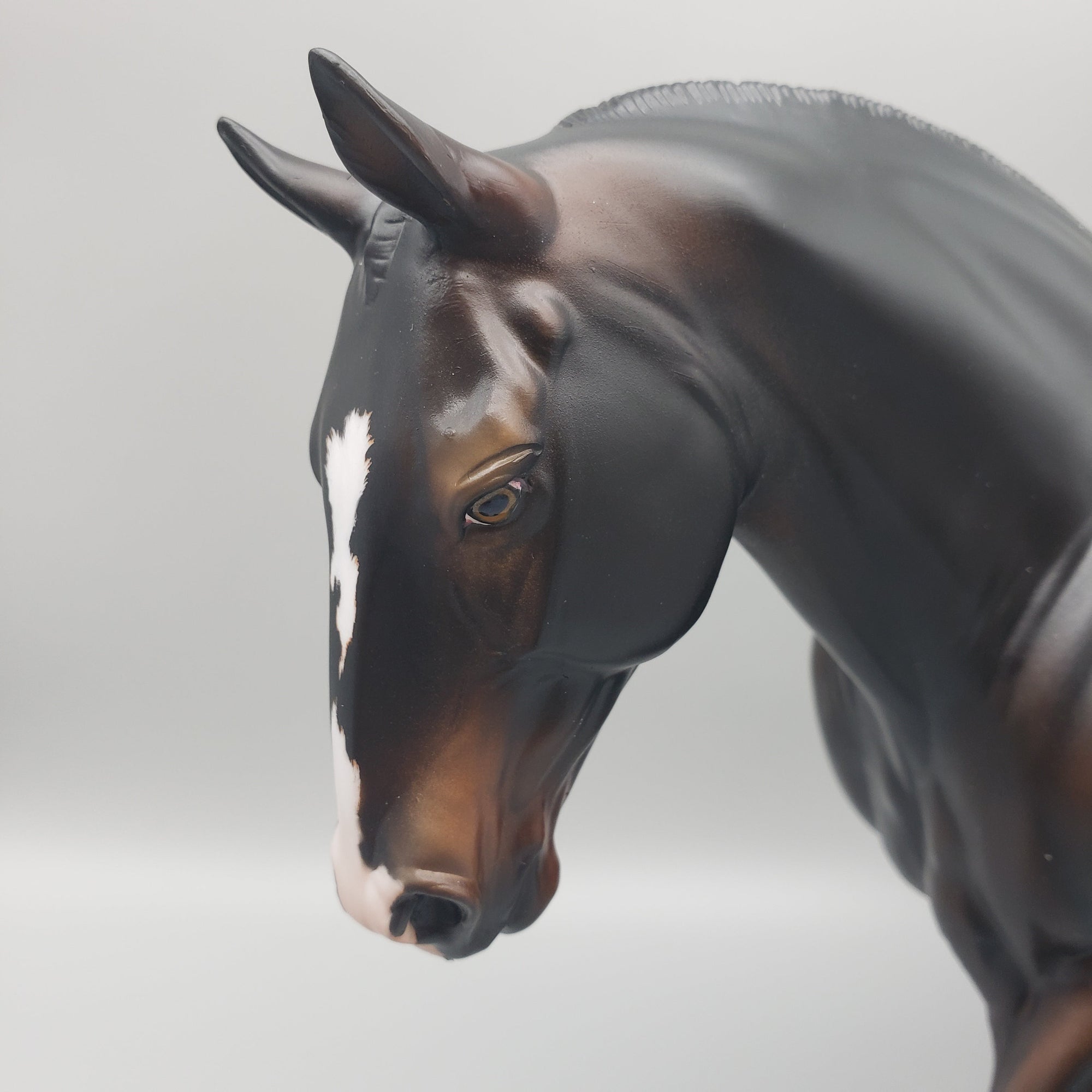 Pompeii - OOAK - Seal Bay Irish Draught By Jess Hamill EQ23