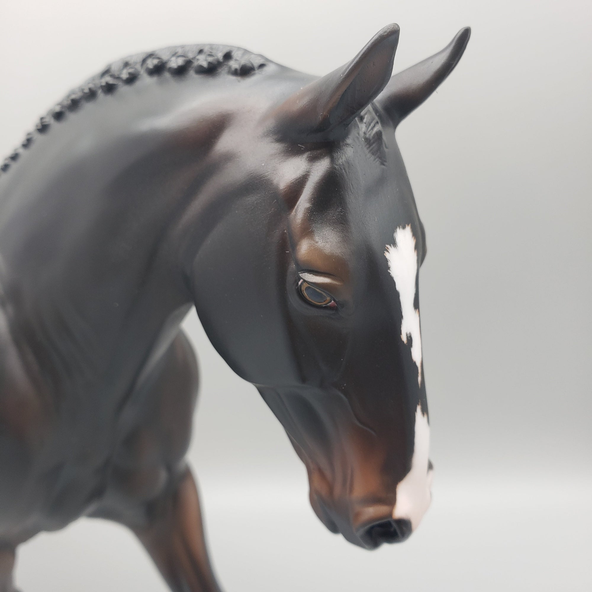 Pompeii - OOAK - Seal Bay Irish Draught By Jess Hamill EQ23