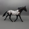 Nutmeg - OOAK - Dark Bay Appaloosa Palouse By Jess Hamill EQ23