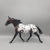 Nutmeg - OOAK - Dark Bay Appaloosa Palouse By Jess Hamill EQ23