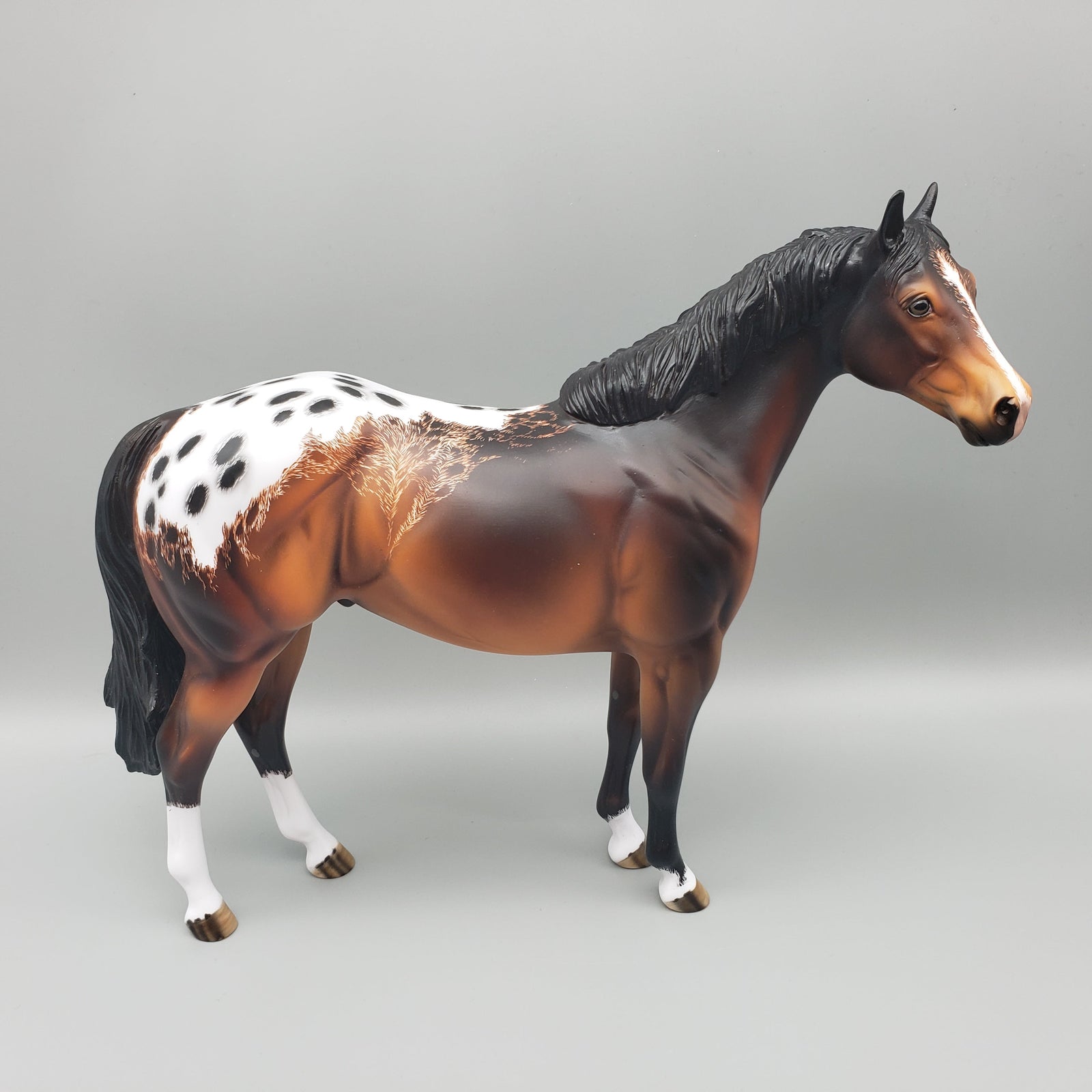 Ranger - OOAK - Bay Appaloosa ISH By Dawn Quick EQ23
