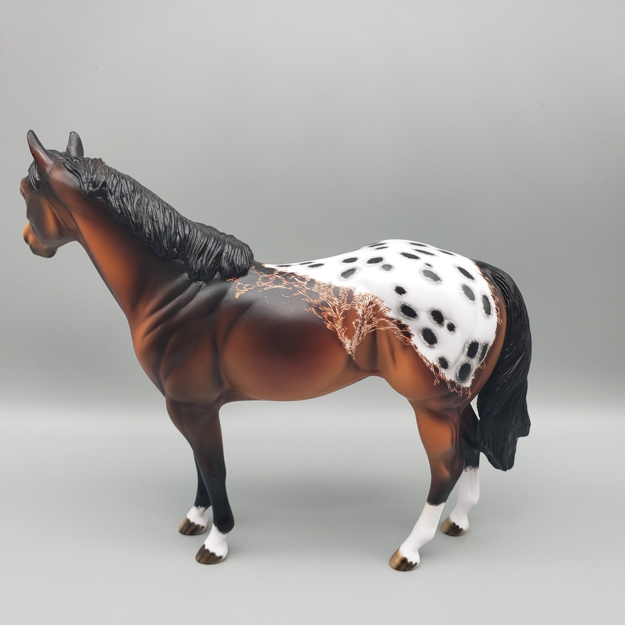 Ranger - OOAK - Bay Appaloosa ISH By Dawn Quick EQ23