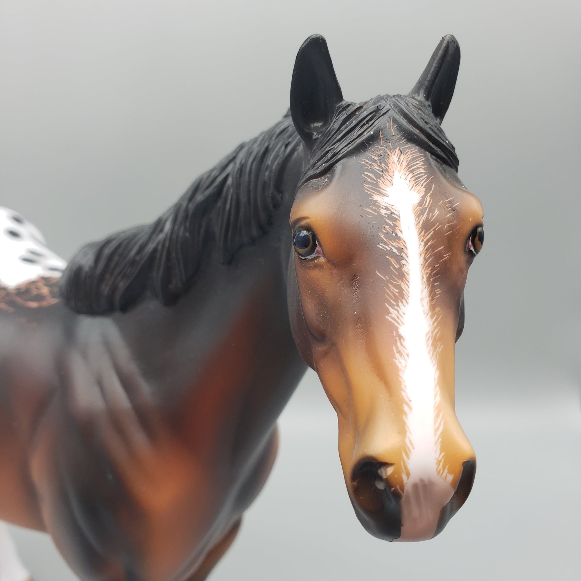 Ranger - OOAK - Bay Appaloosa ISH By Dawn Quick EQ23