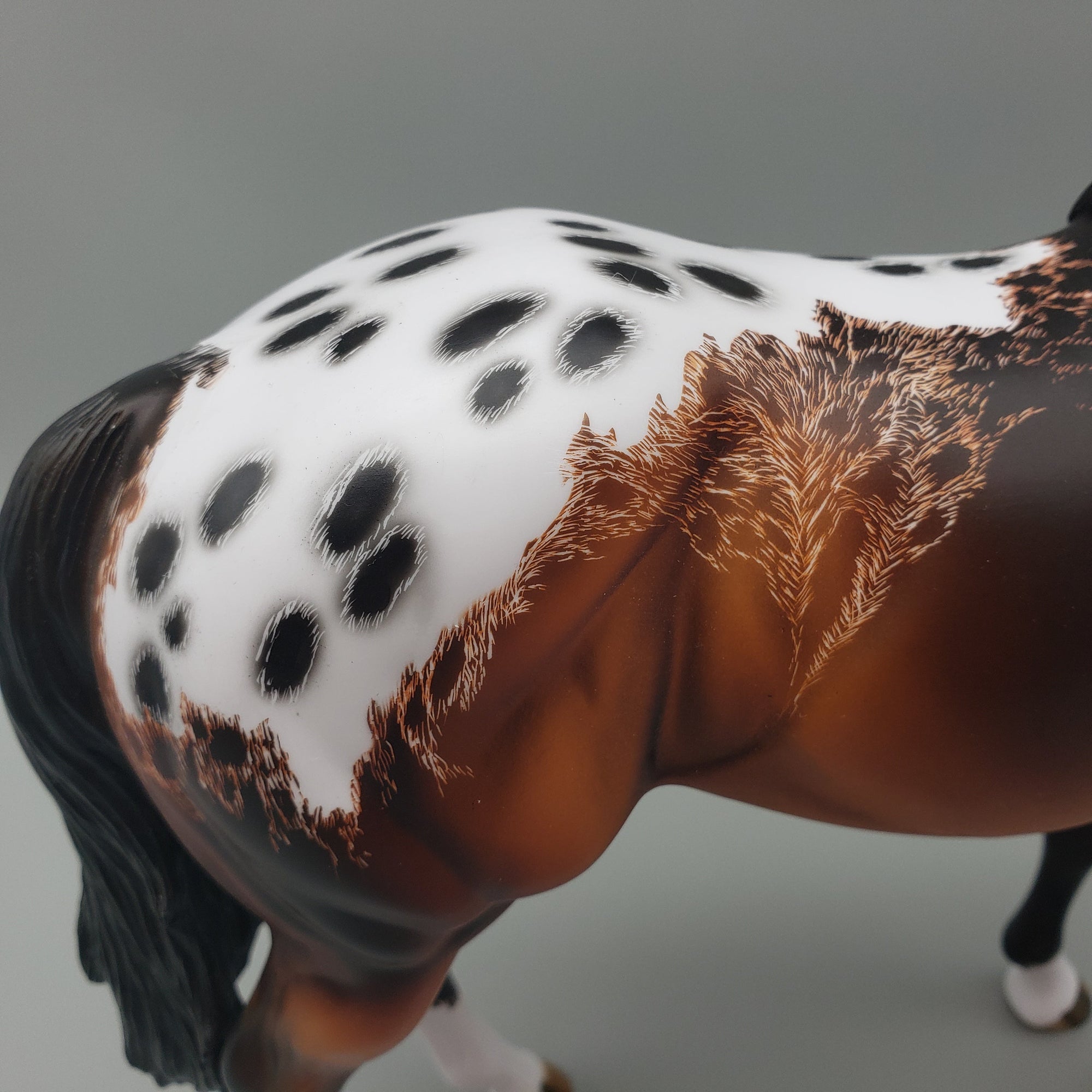 Ranger - OOAK - Bay Appaloosa ISH By Dawn Quick EQ23