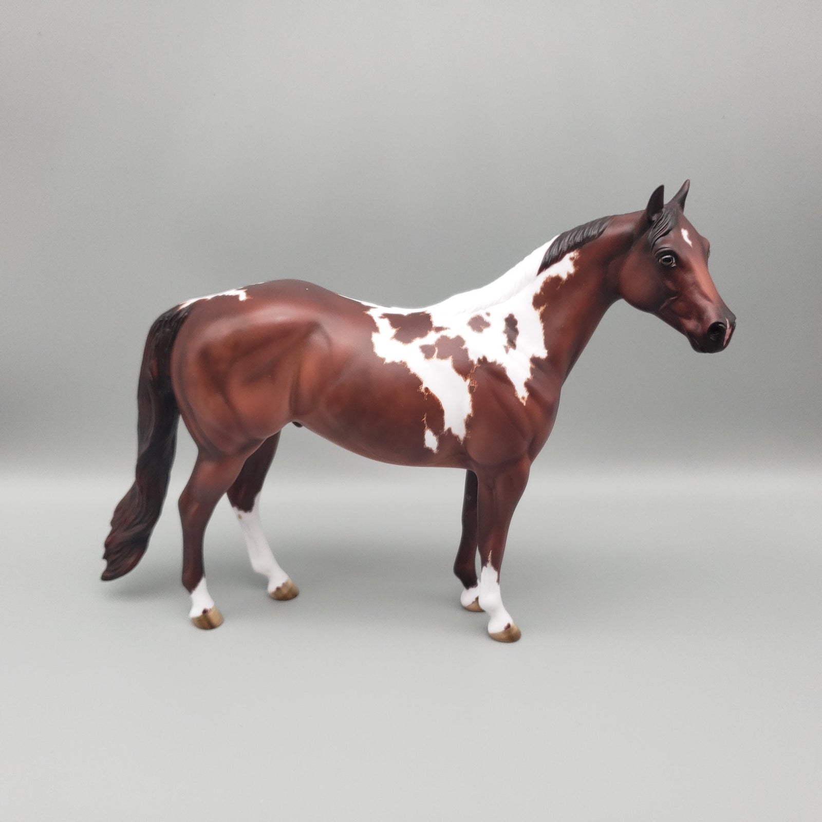 Coltrane - OOAK - Chestnut Paint ISH By Donna Fredley EQ23