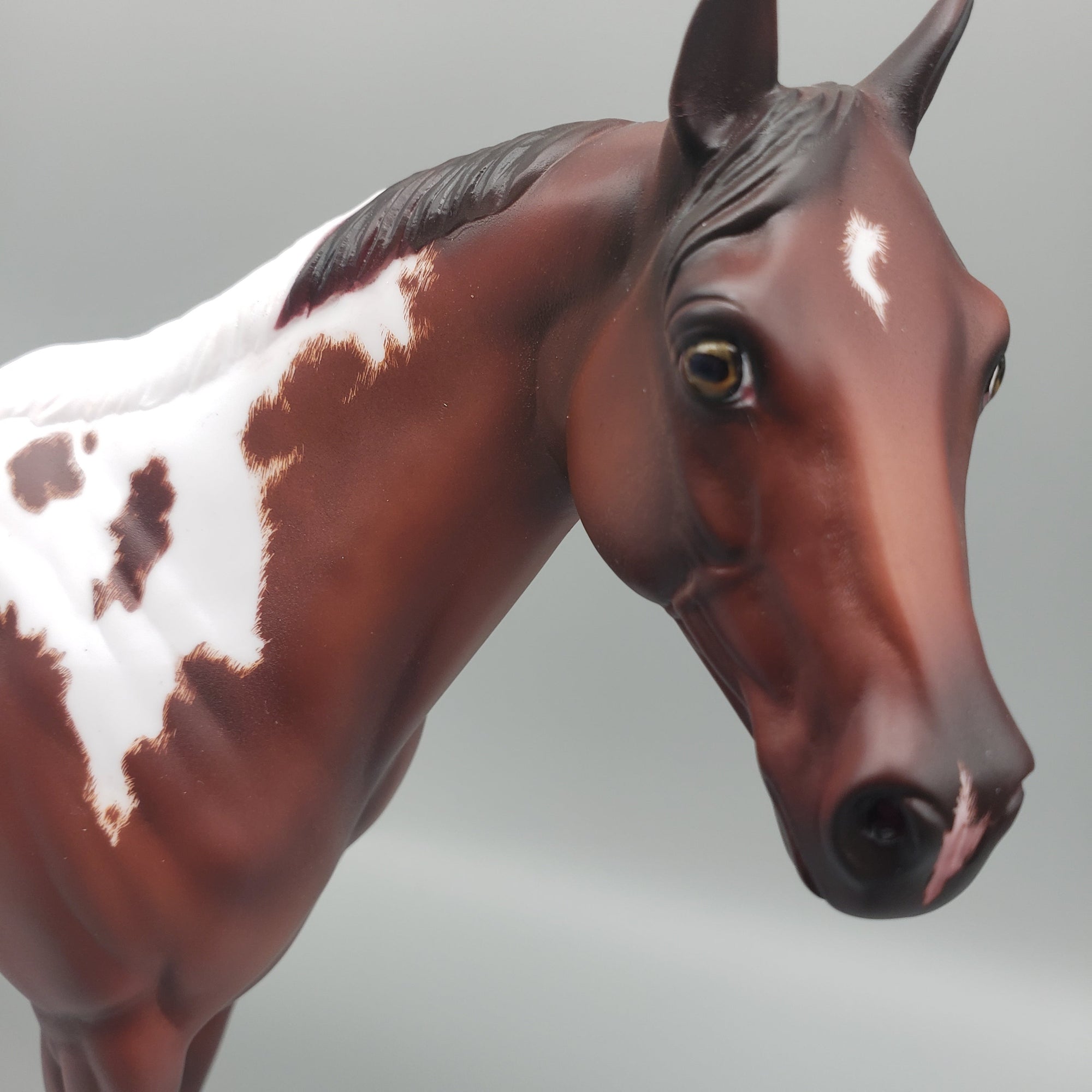 Coltrane - OOAK - Chestnut Paint ISH By Donna Fredley EQ23