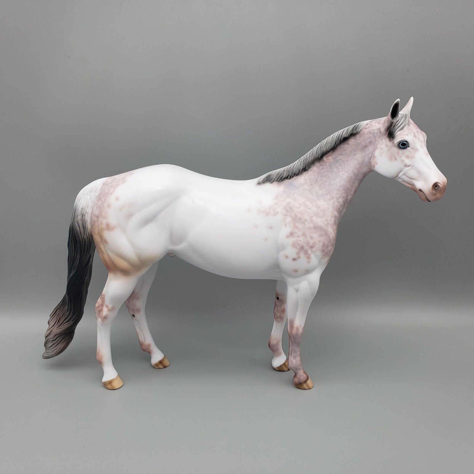 Rolo - OOAK - Bay Sabino ISH By Dawn Quick EQ23