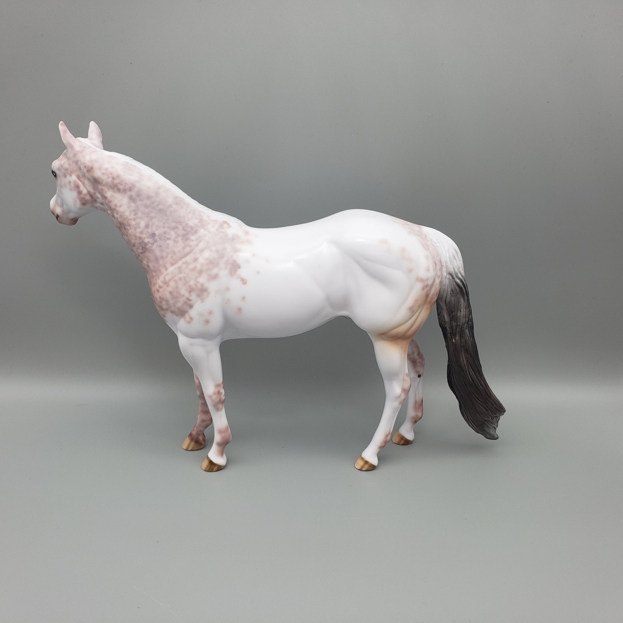 Rolo - OOAK - Bay Sabino ISH By Dawn Quick EQ23