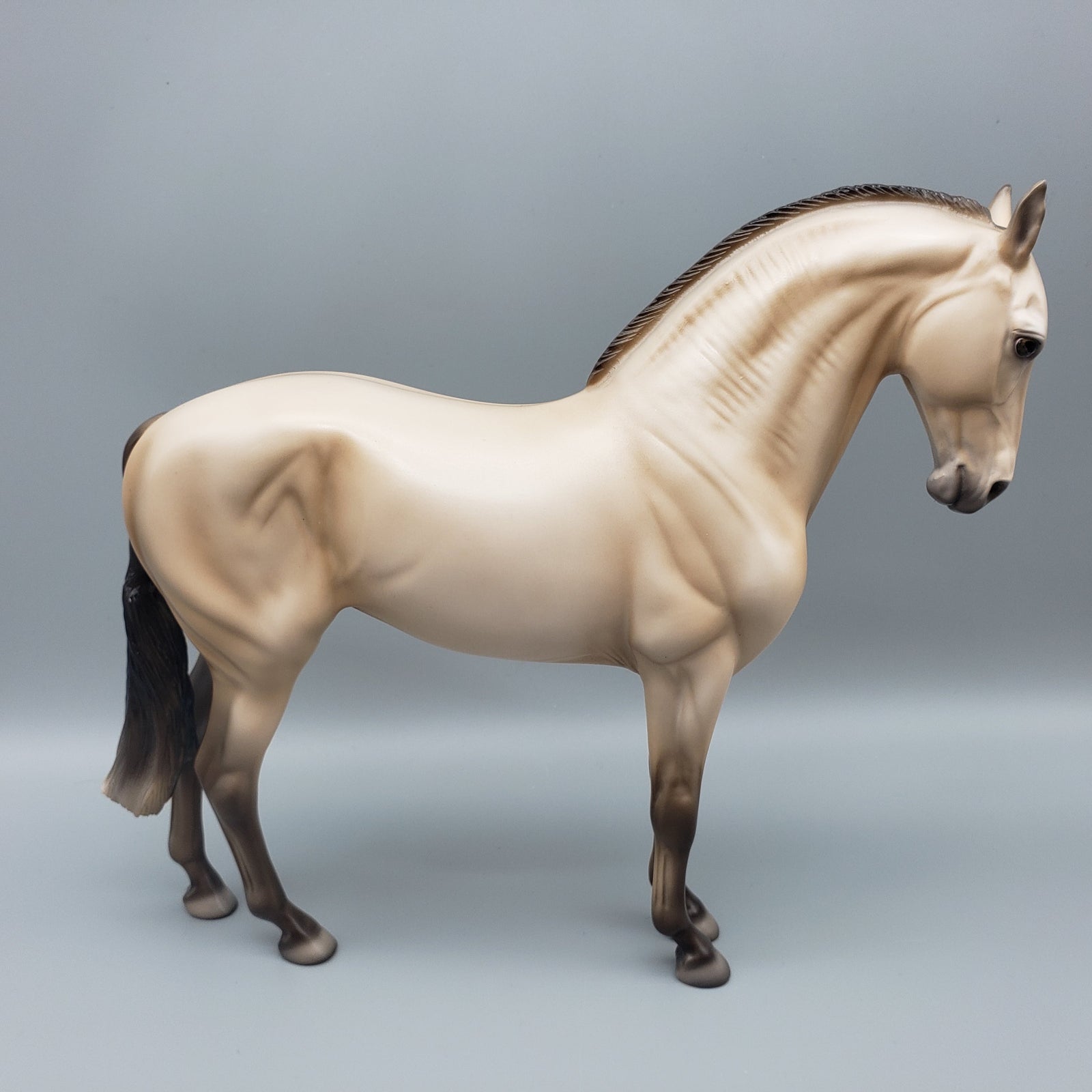 Snickerdoodle - OOAK - Dun Andalusian By Ellen Robbins EQ23