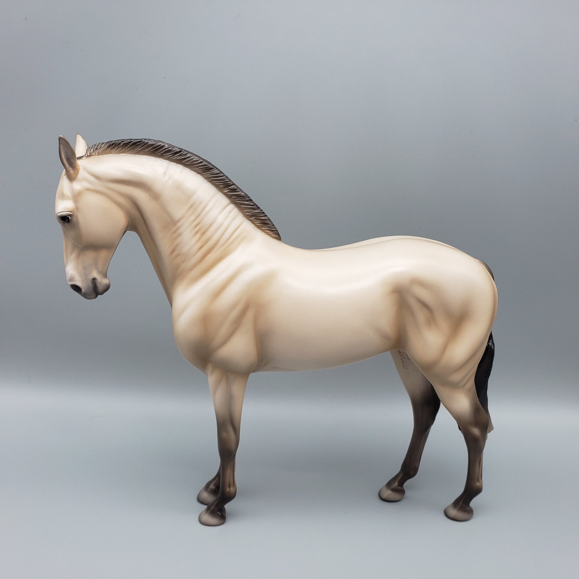 Snickerdoodle - OOAK - Dun Andalusian By Ellen Robbins EQ23