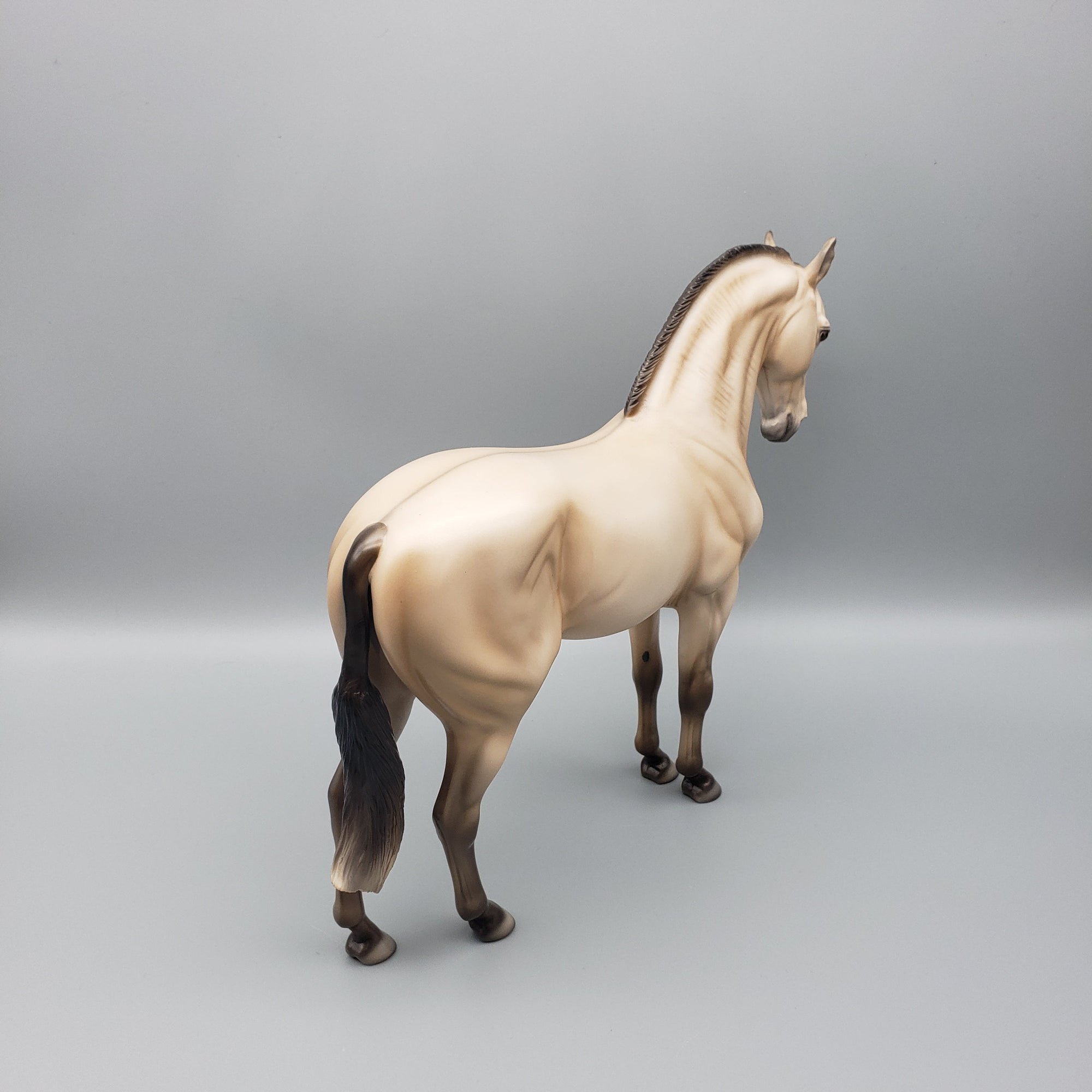 Snickerdoodle - OOAK - Dun Andalusian By Ellen Robbins EQ23