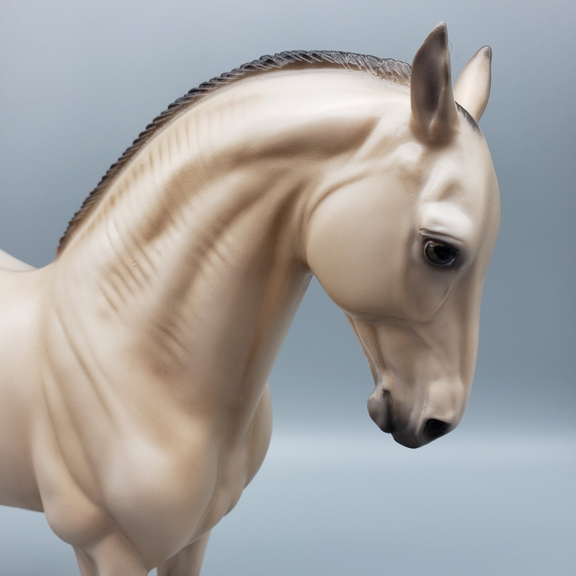 Snickerdoodle - OOAK - Dun Andalusian By Ellen Robbins EQ23