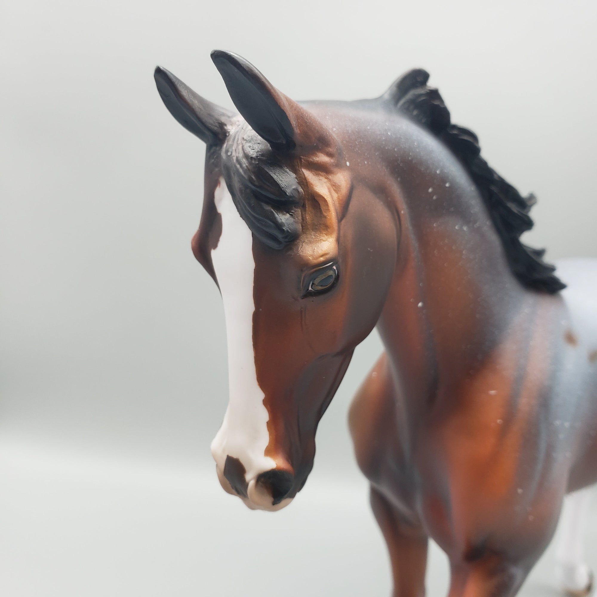 Steel - OOAK - Snowflake Appaloosa Bay Thoroughbred By Dawn Quick EQ23