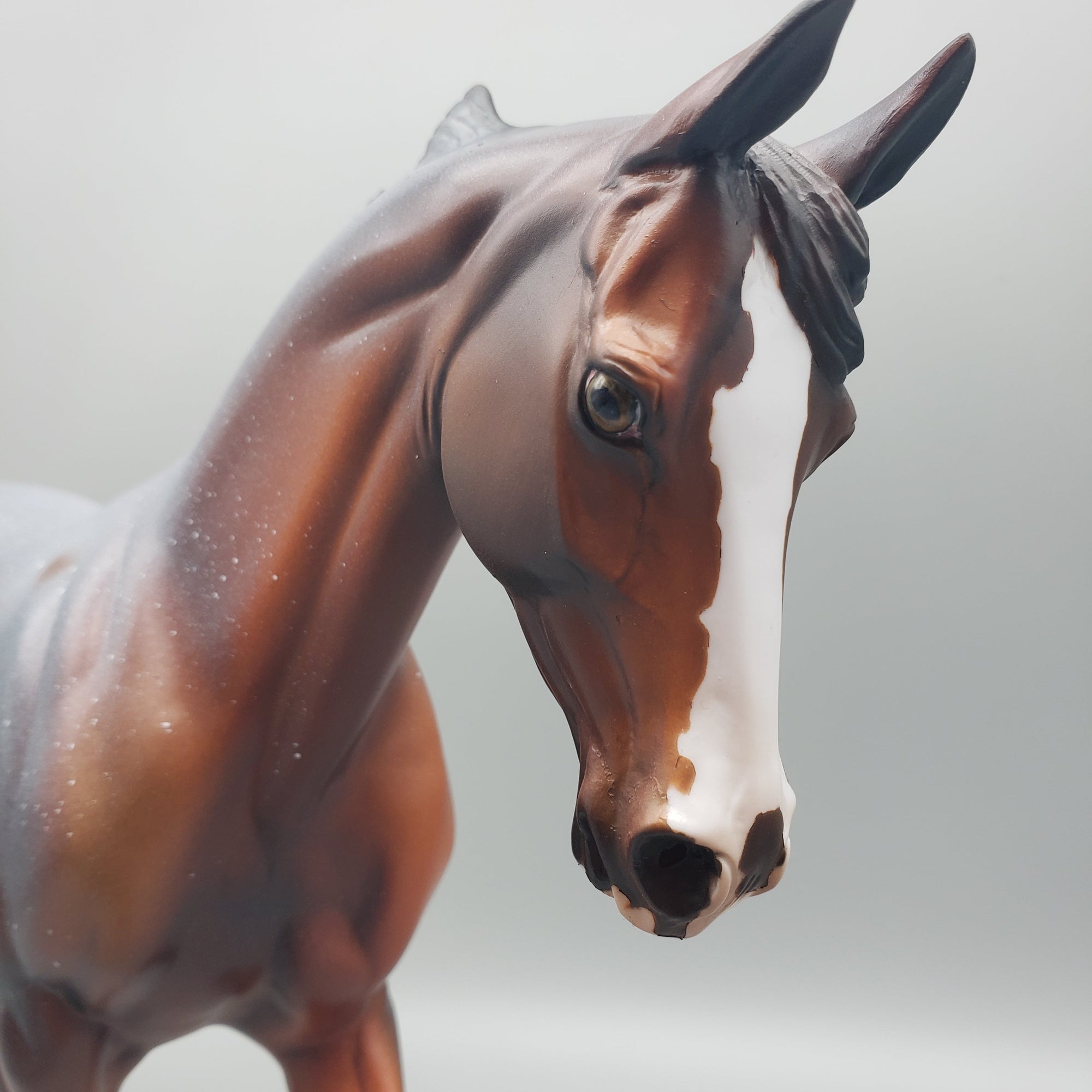 Steel - OOAK - Snowflake Appaloosa Bay Thoroughbred By Dawn Quick EQ23