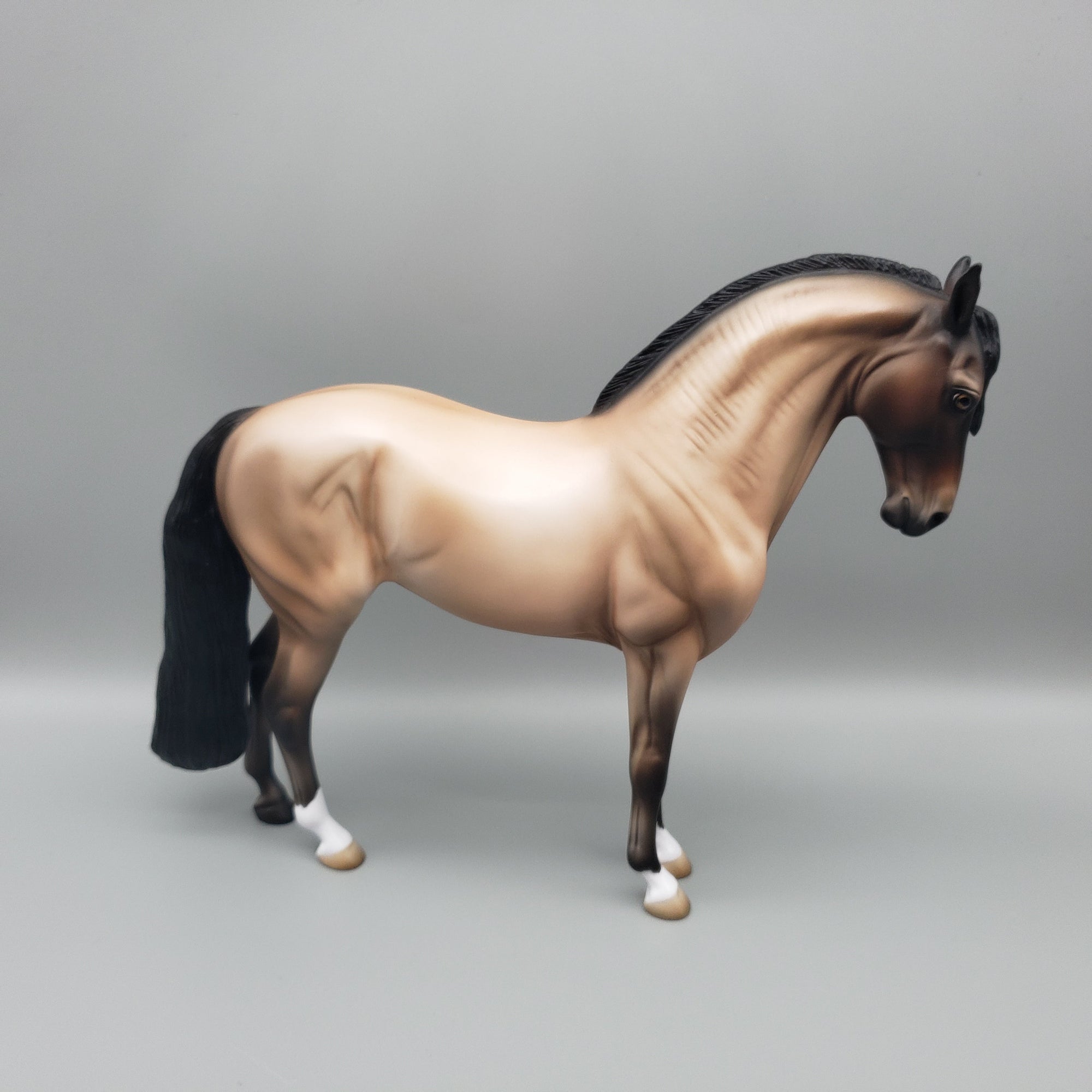 Lucky - OOAK - Buckskin Andalusian By Jess Hamill EQ23