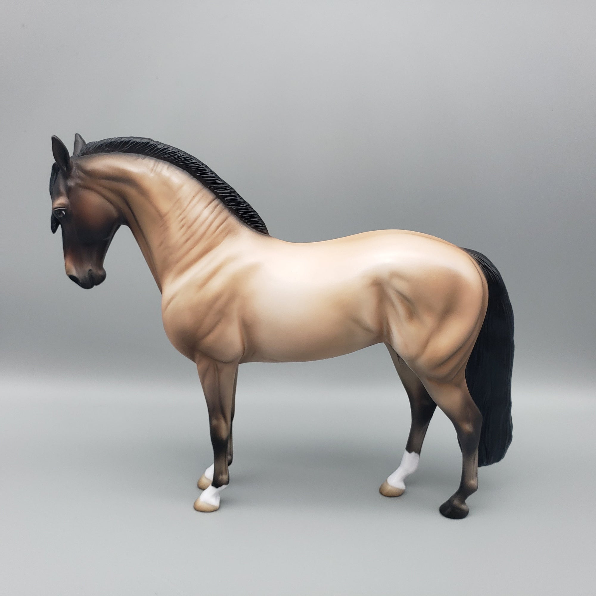 Lucky - OOAK - Buckskin Andalusian By Jess Hamill EQ23