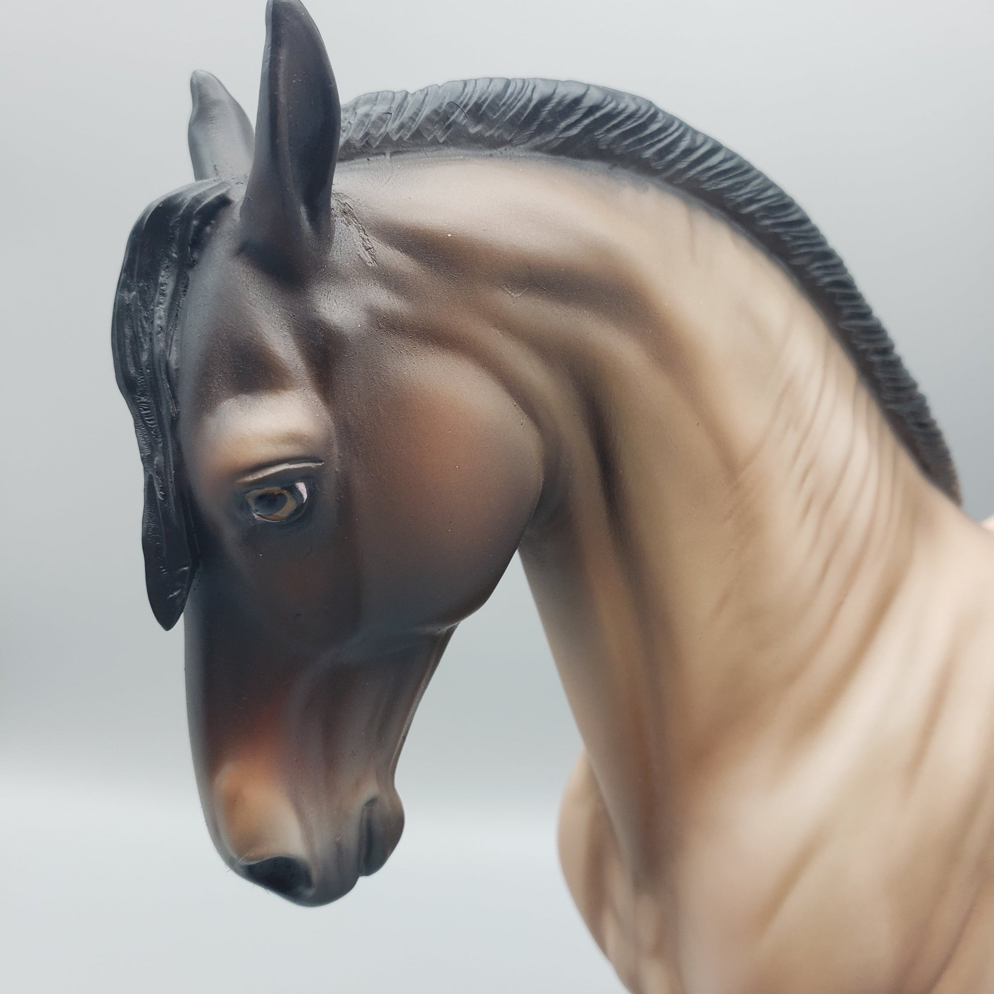 Lucky - OOAK - Buckskin Andalusian By Jess Hamill EQ23