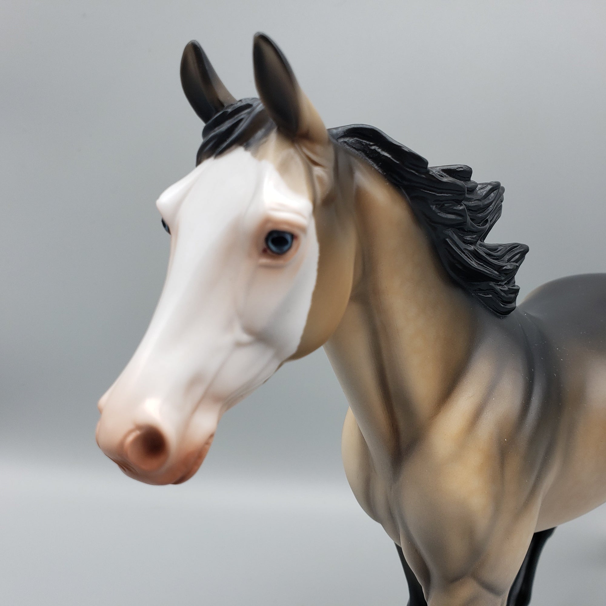 Penny OOAK Sooty Buckskin Palouse By Angela Marleau EQ23