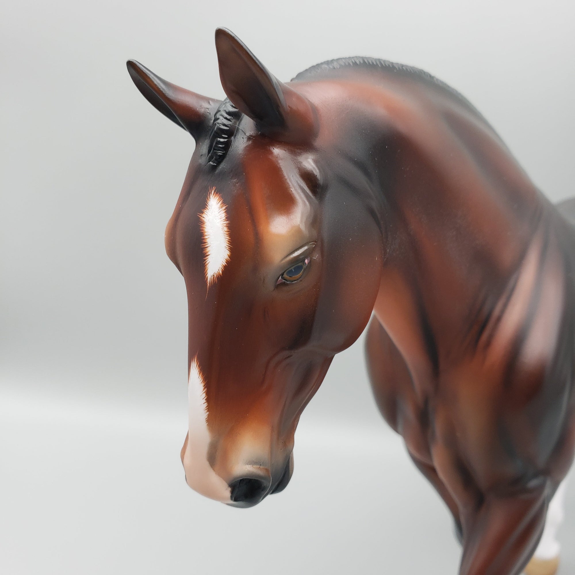 Joji OOAK Dark Bay Irish Draft By Angela Marleau EQ23