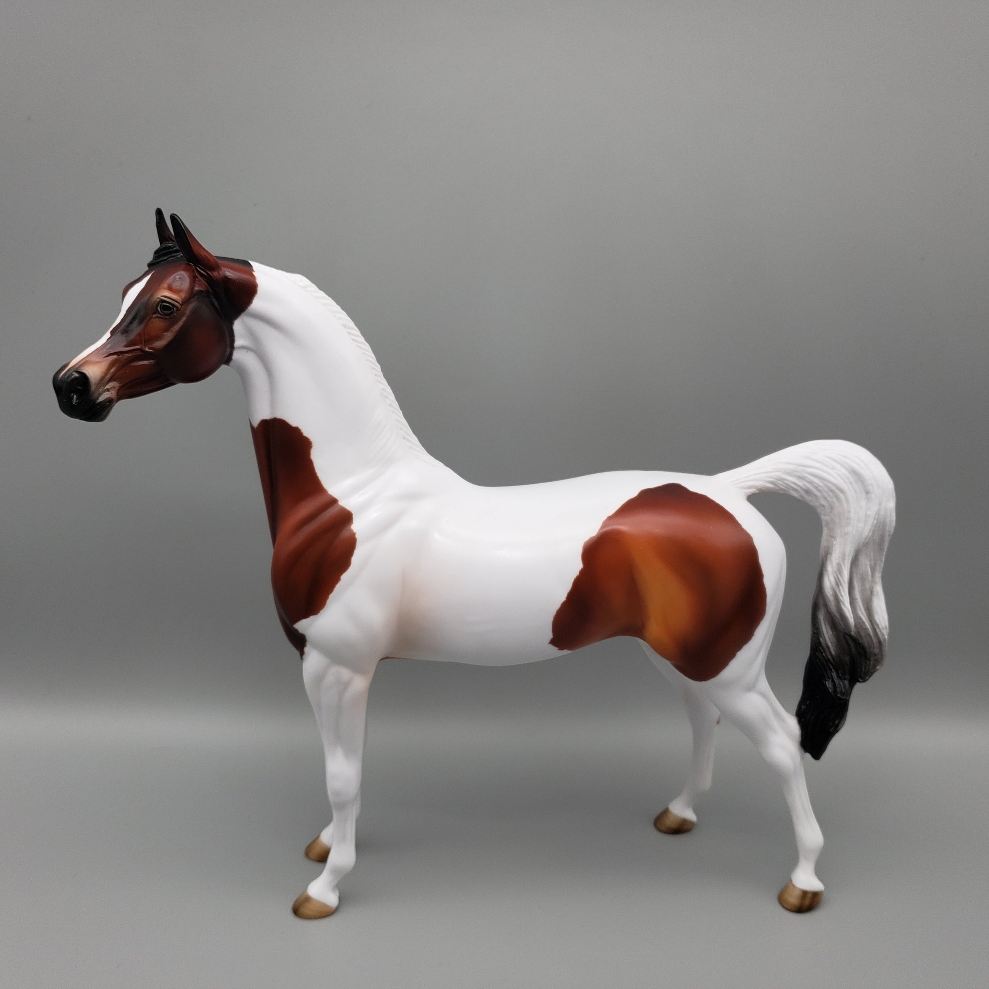 Mocha OOAK Bay Tobiano Arabian Stallion By Angela Marleau EQ23