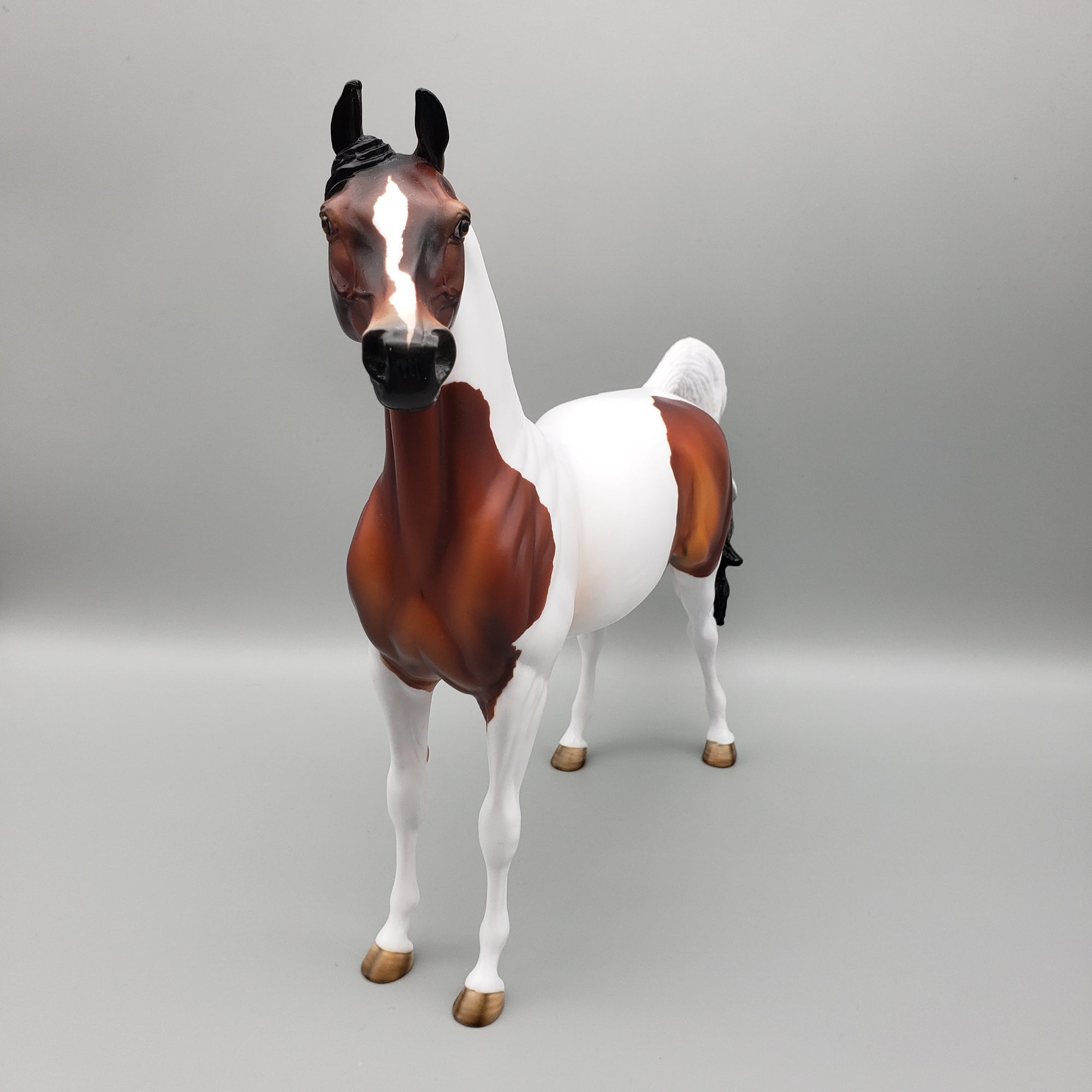 Mocha OOAK Bay Tobiano Arabian Stallion By Angela Marleau EQ23