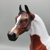 Mocha OOAK Bay Tobiano Arabian Stallion By Angela Marleau EQ23